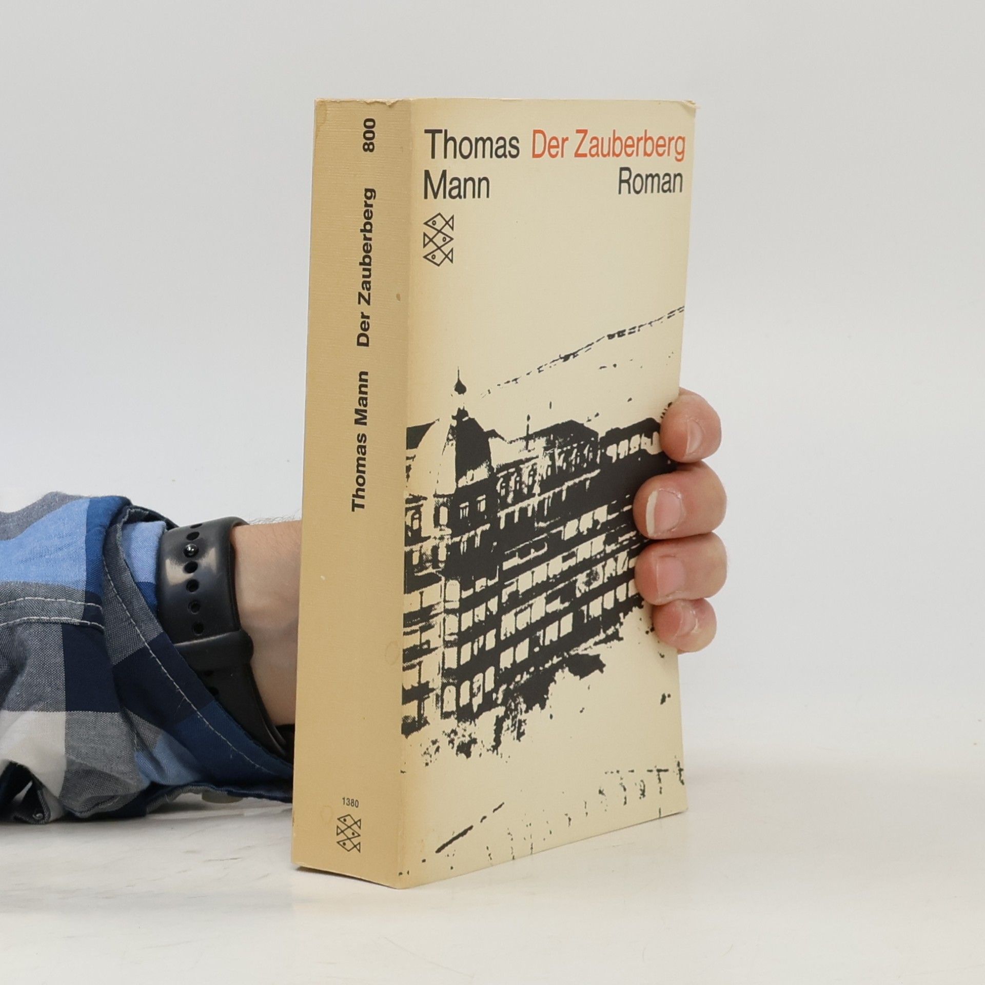 Thomas Mann Der Zauberberg
