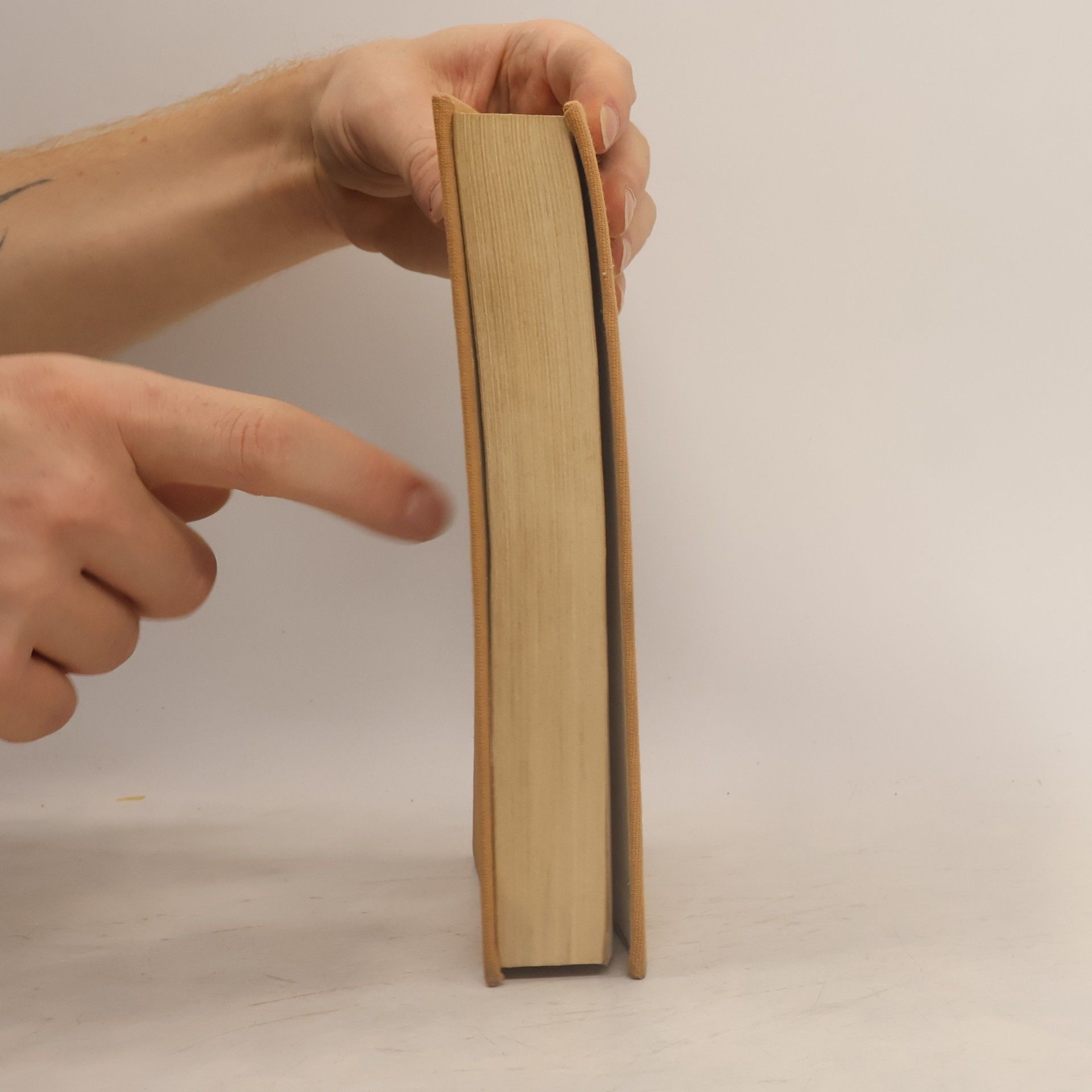 Jiří Honzík Poezie přelomu století