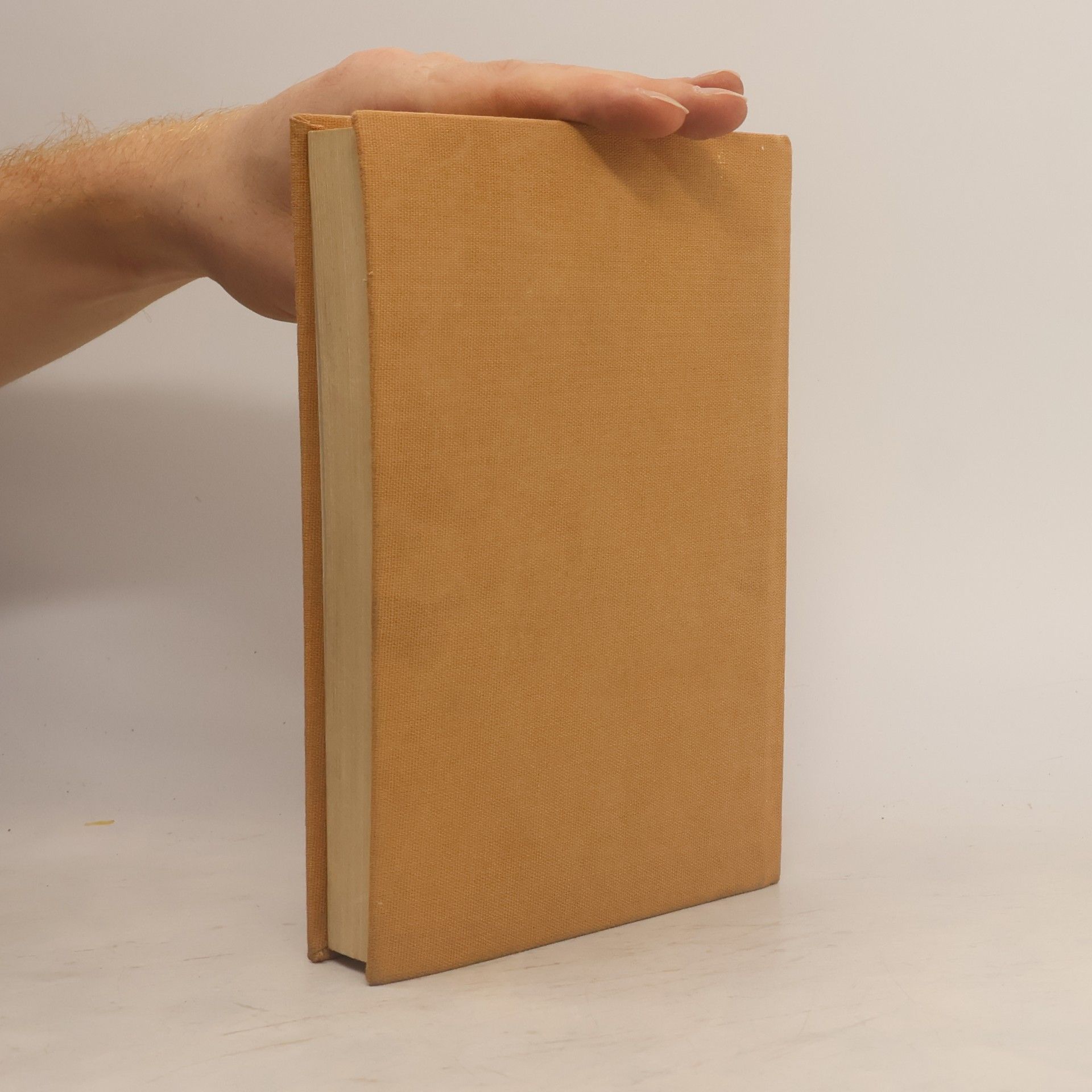 Jiří Honzík Poezie přelomu století