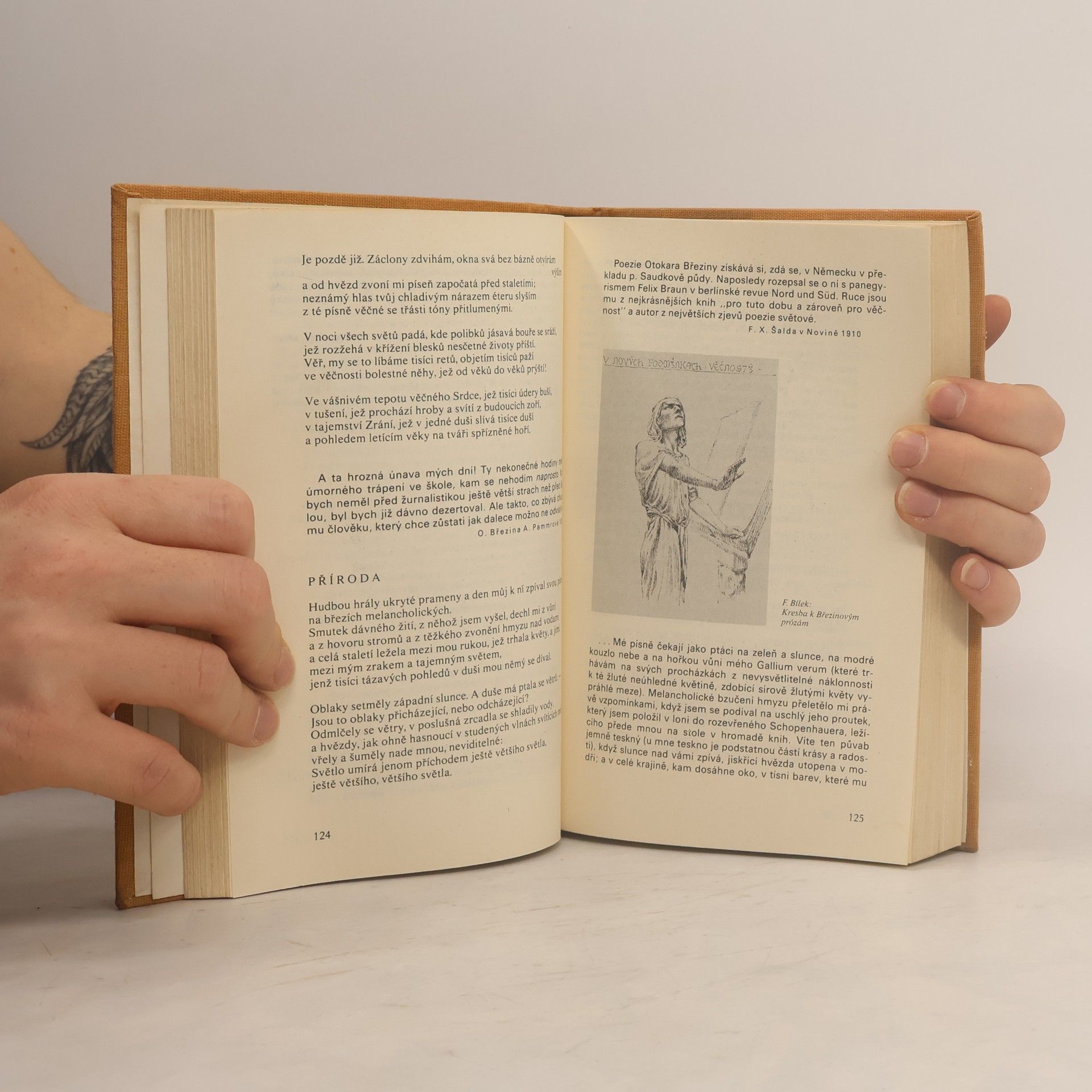 Jiří Honzík Poezie přelomu století