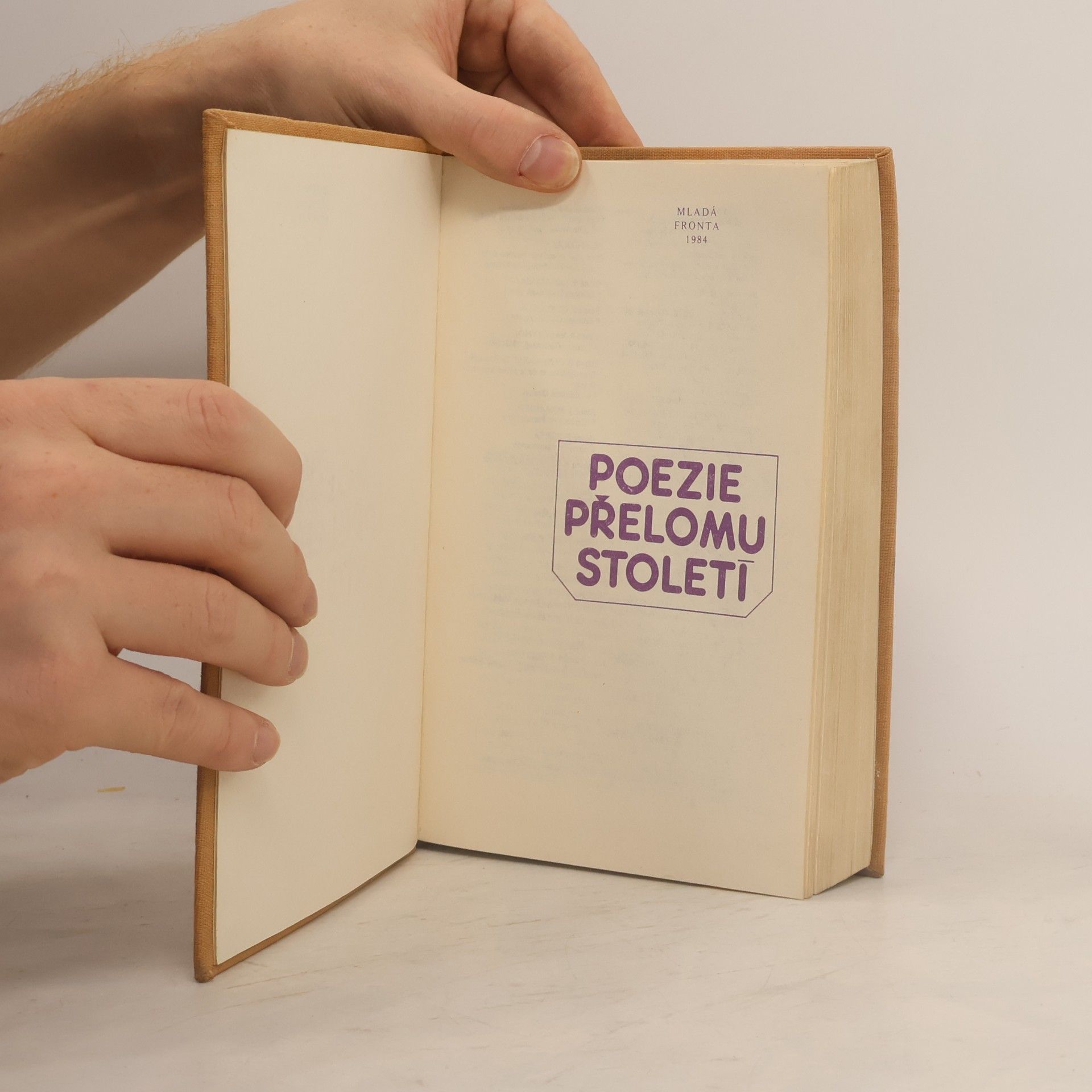 Jiří Honzík Poezie přelomu století