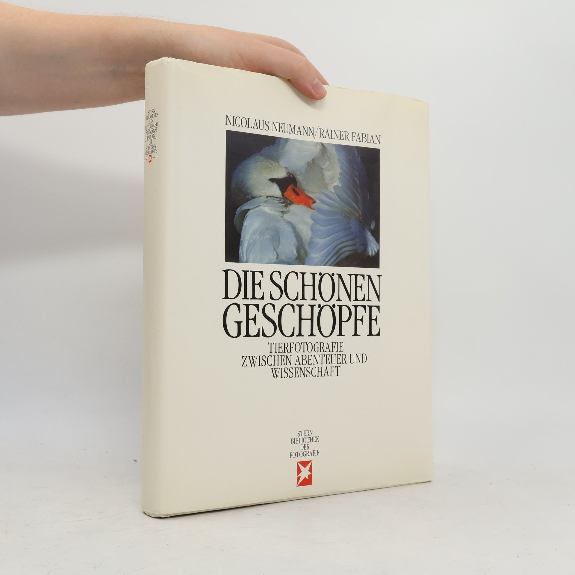Die schönen Geschöpfe