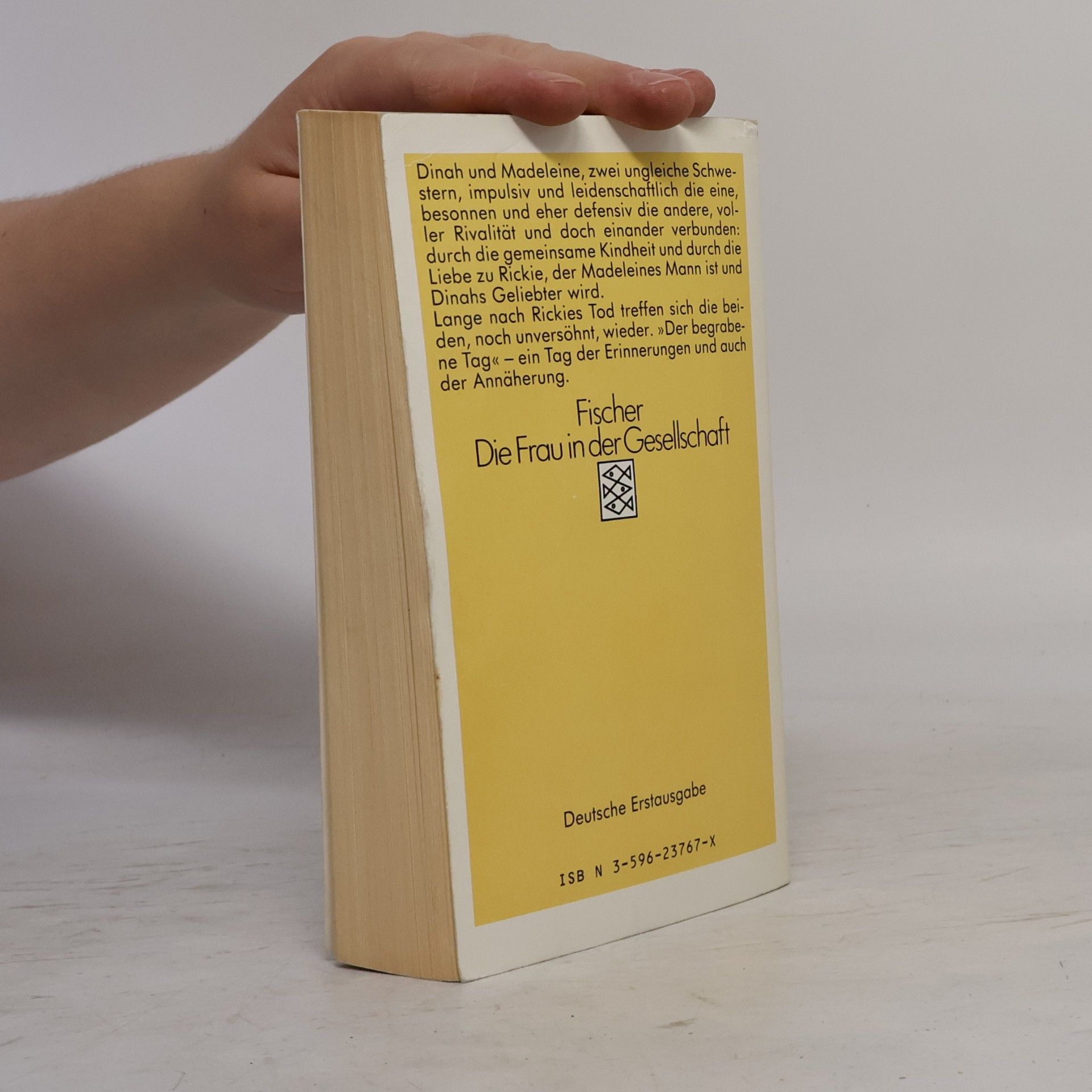 Rosamond Lehmann Der begrabene Tag