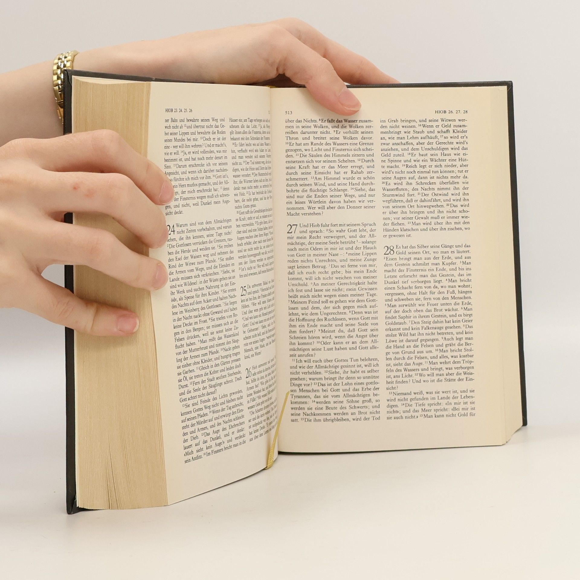 Matthäus Merian Die Bibel