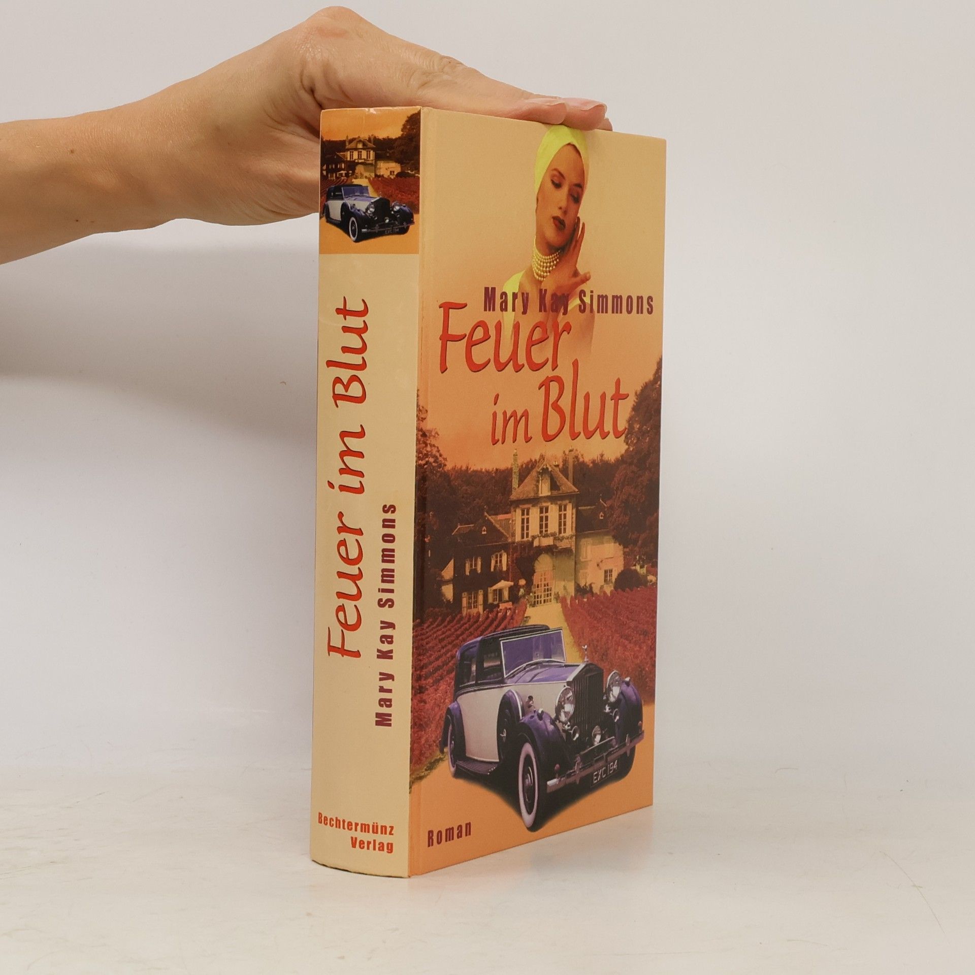 Mary Kay Simmons Feuer im Blut