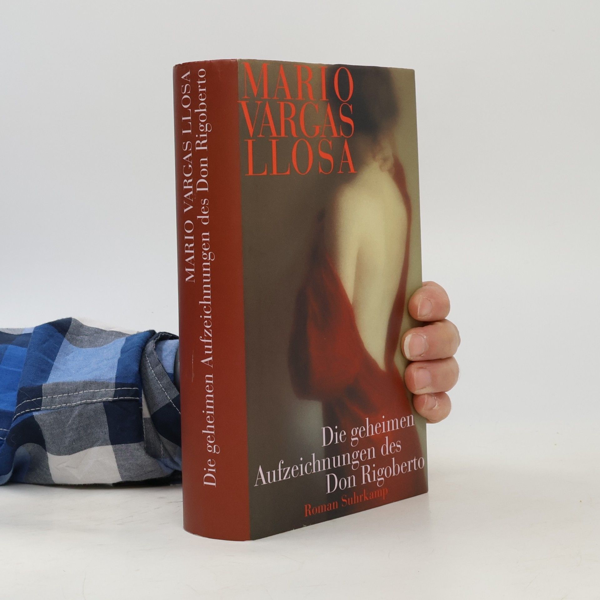 Mario Vargas Llosa Die geheimen Aufzeichnungen des Don Rigoberto