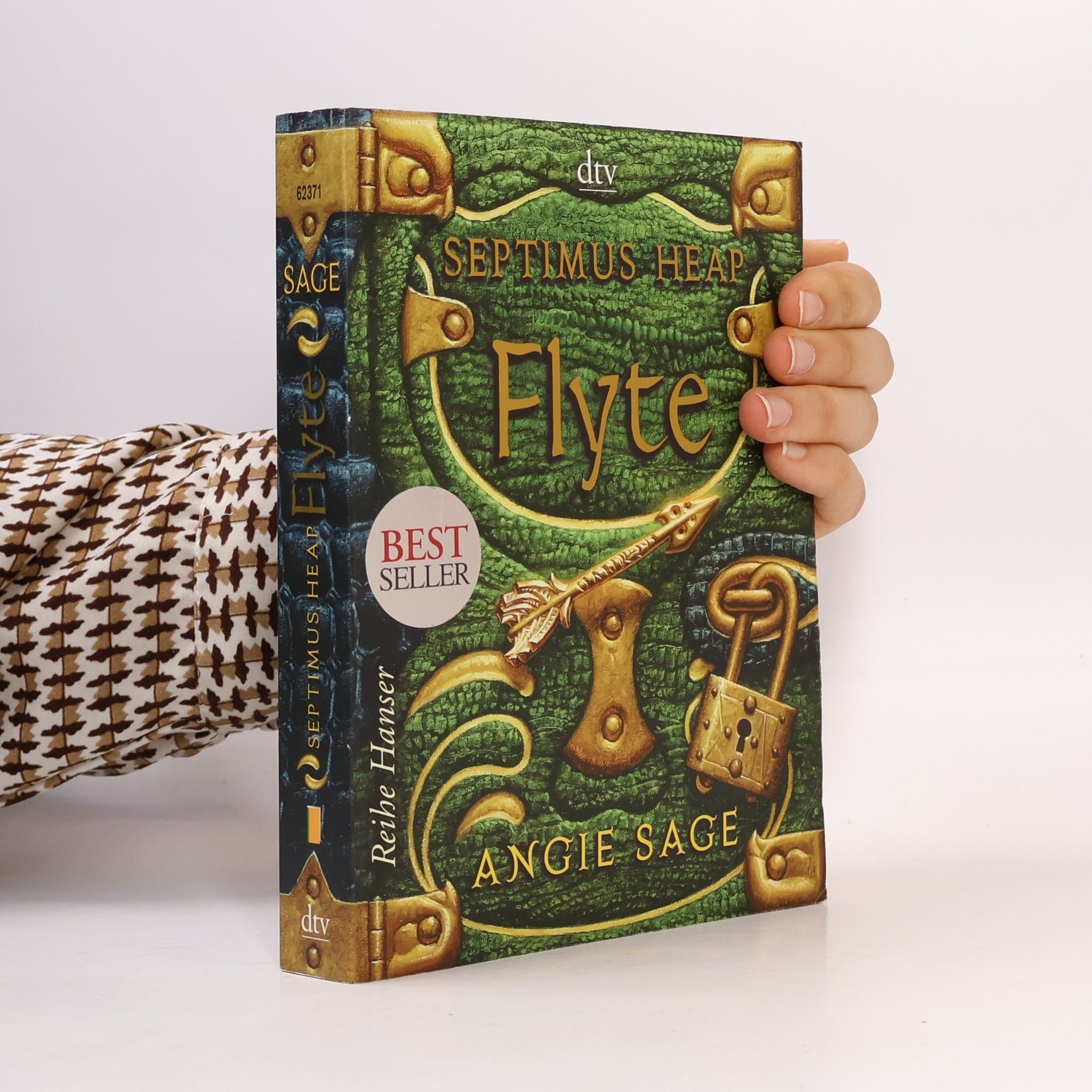 Angie Sage Septimus Heap: Flyte