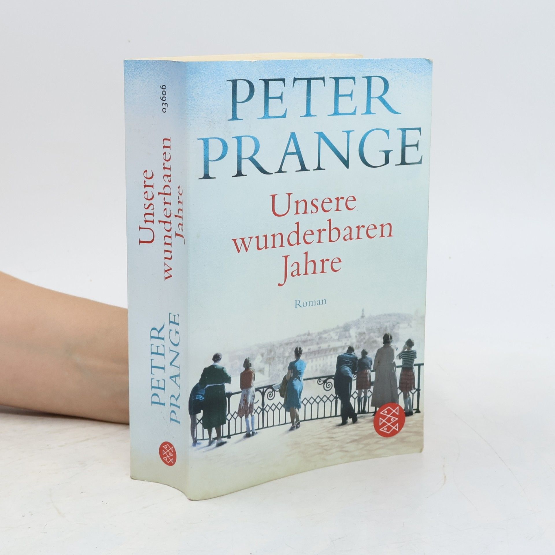 Peter Prange Unsere wunderbaren Jahre