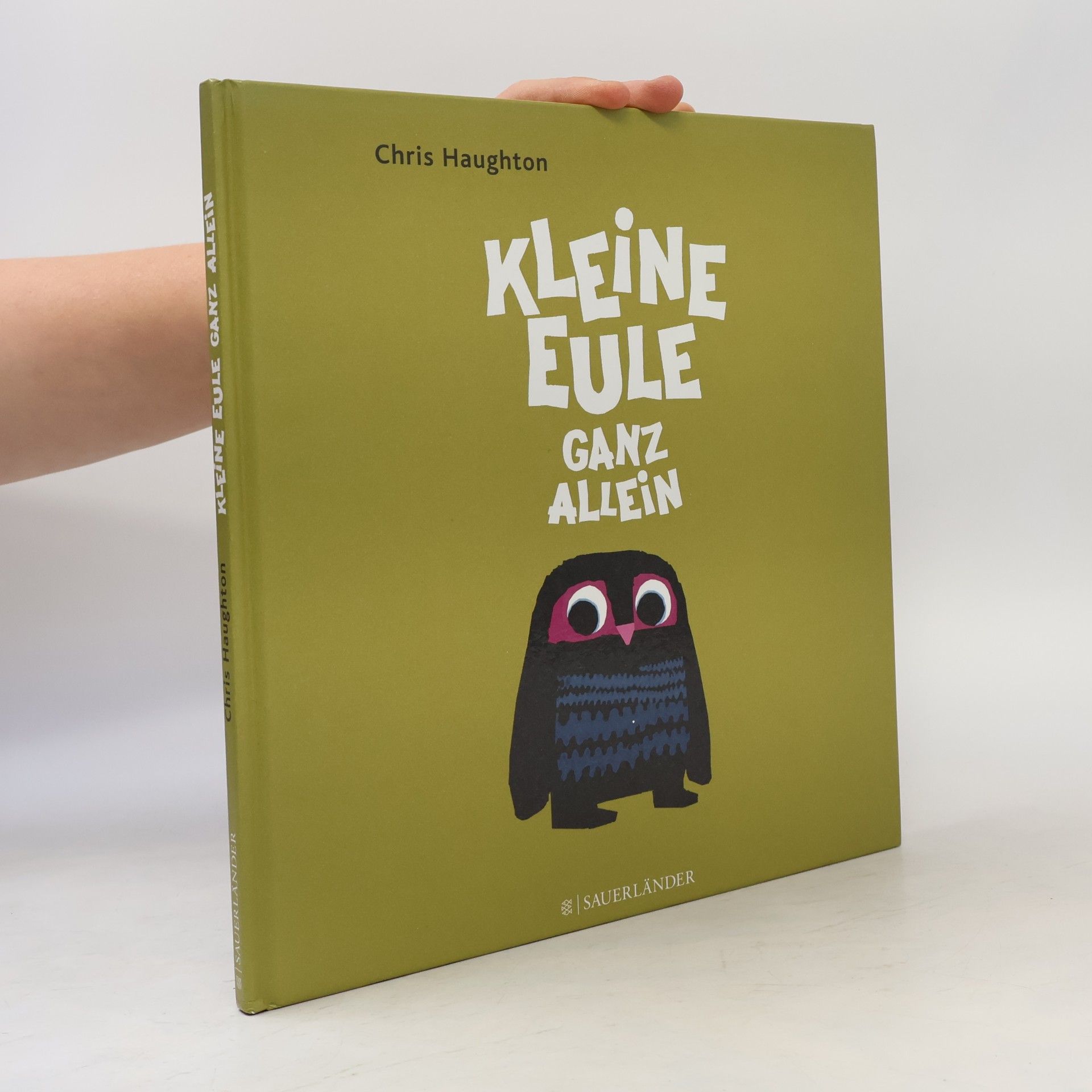 Chris Haughton Kleine Eule ganz allein