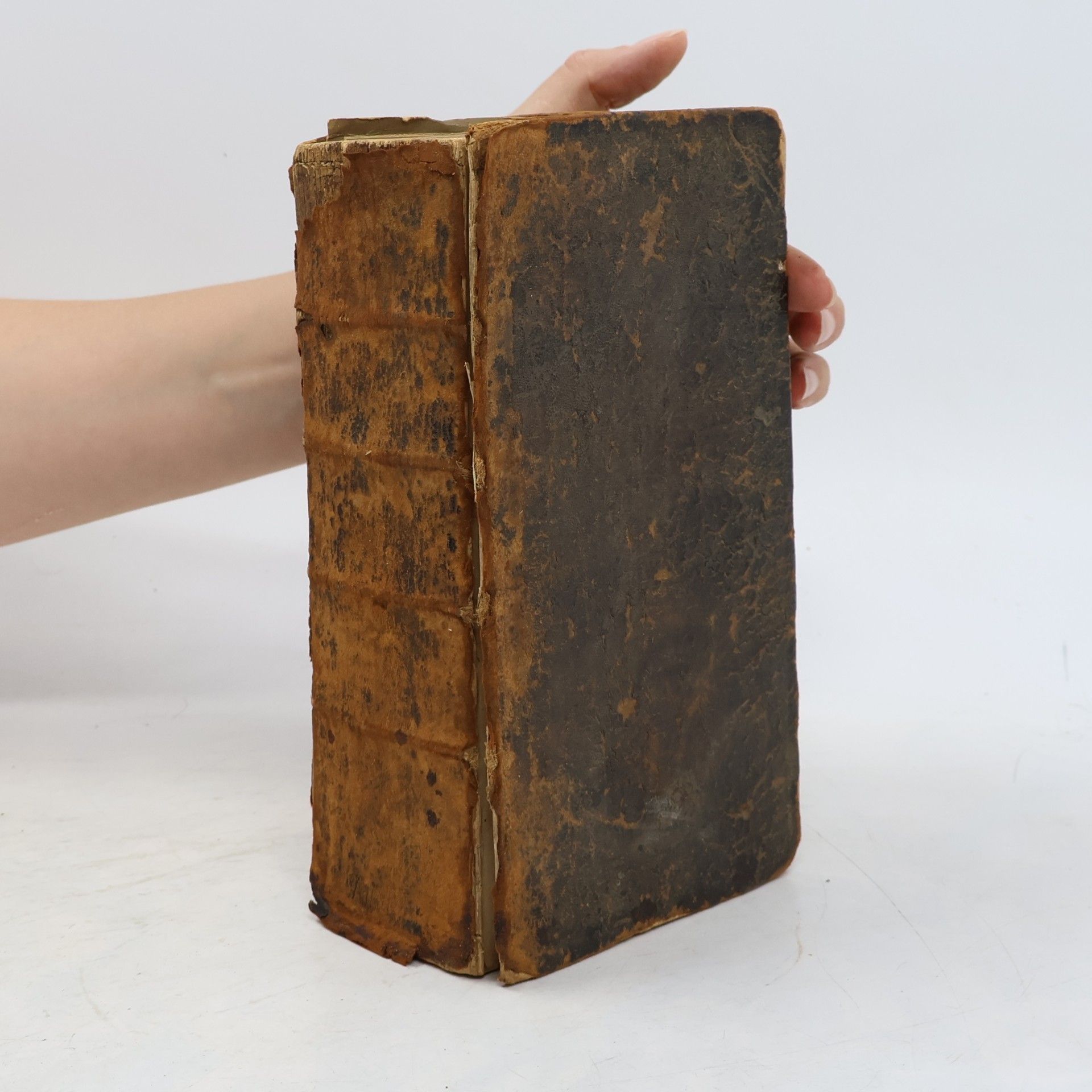 Martin Luther Die Bibel, oder die ganze Heilige Schrift des alten und neuen Testaments