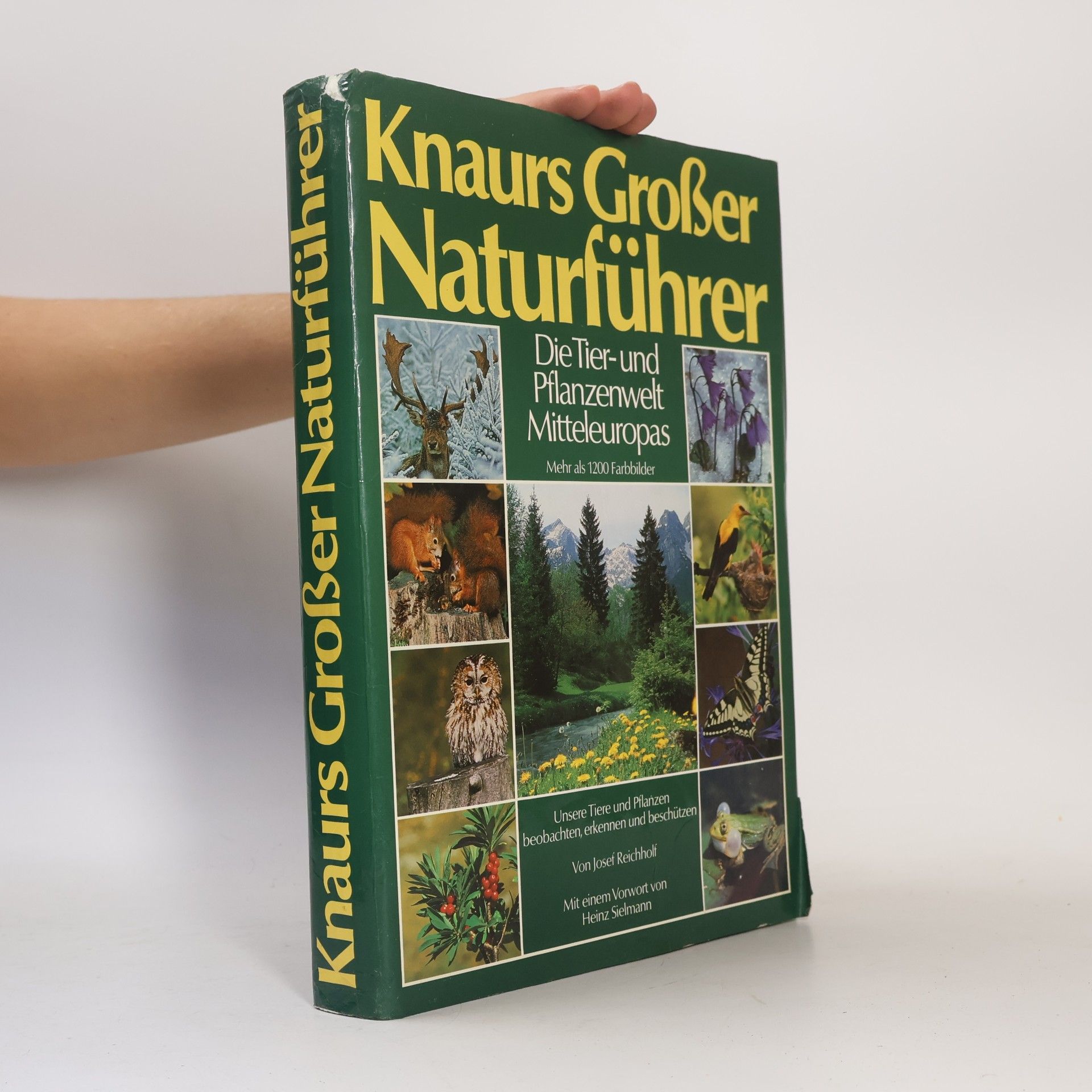 Rosina Fechter Knaurs Großer Naturführer. Die Tier- und Pflanzenwelt Mitteleuropas