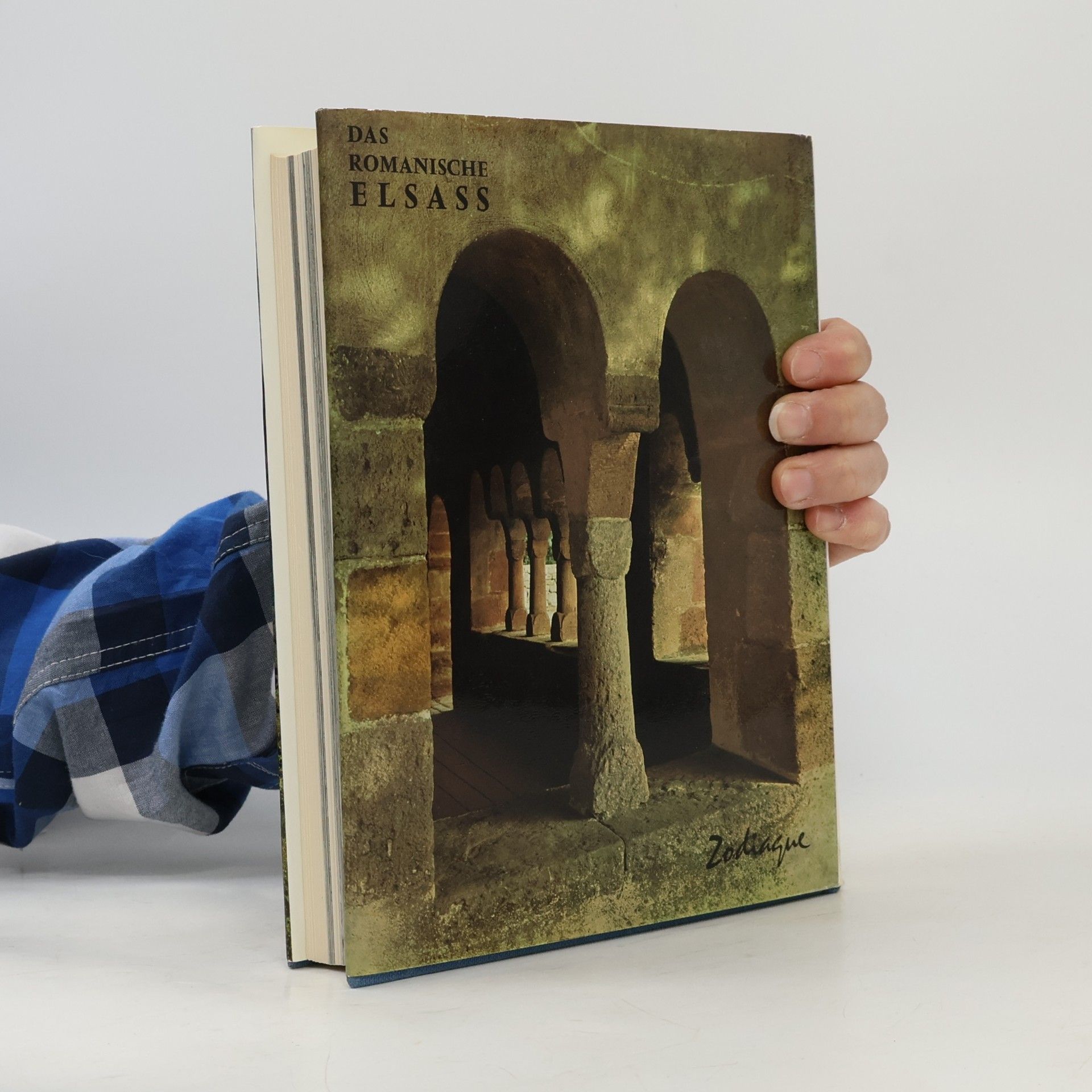 AA.VV. Das Romanisches Elsass