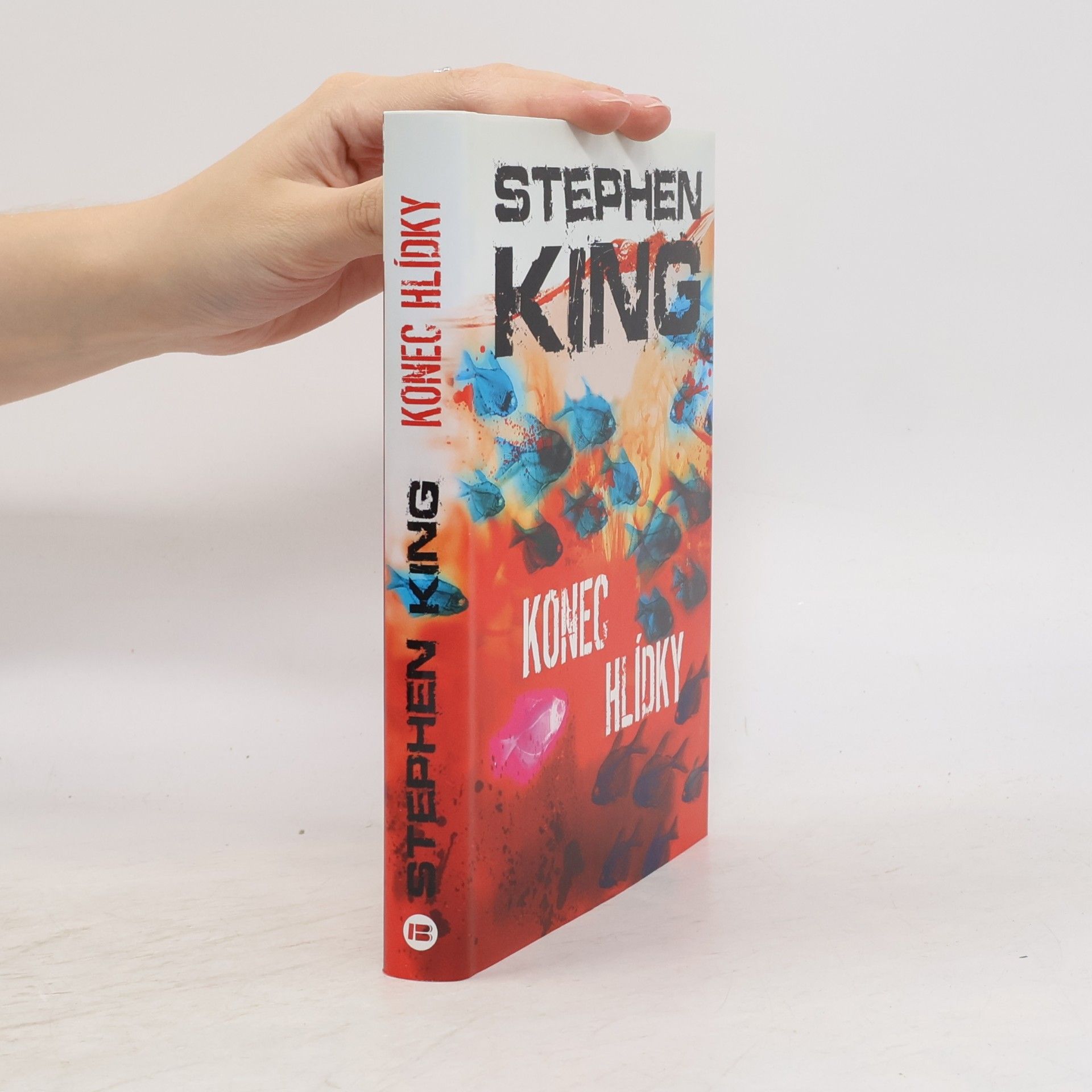 Stephen King Konec hlídky