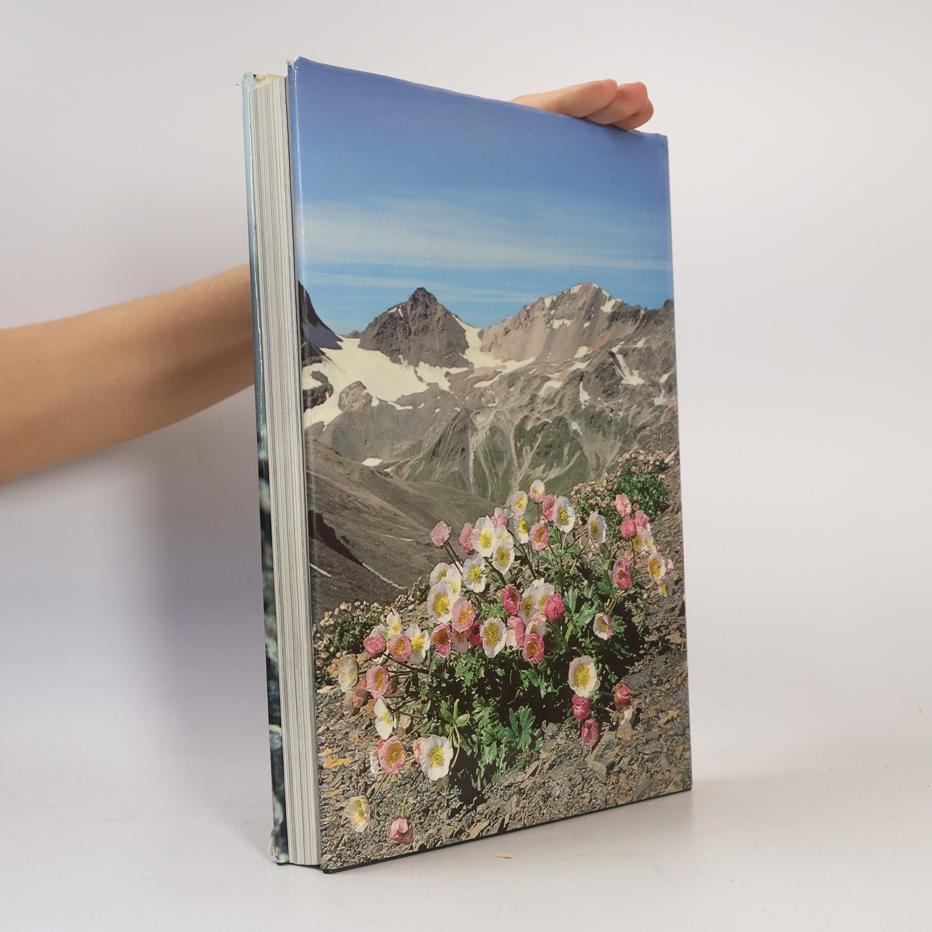 Edeltraud Danesch Faszinierende Welt der Alpenblumen