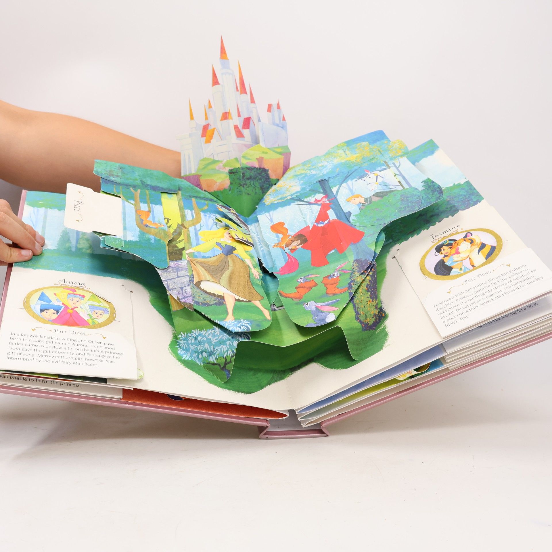 Matthew Reinhart Disney Princess: A Magical Pop-Up World