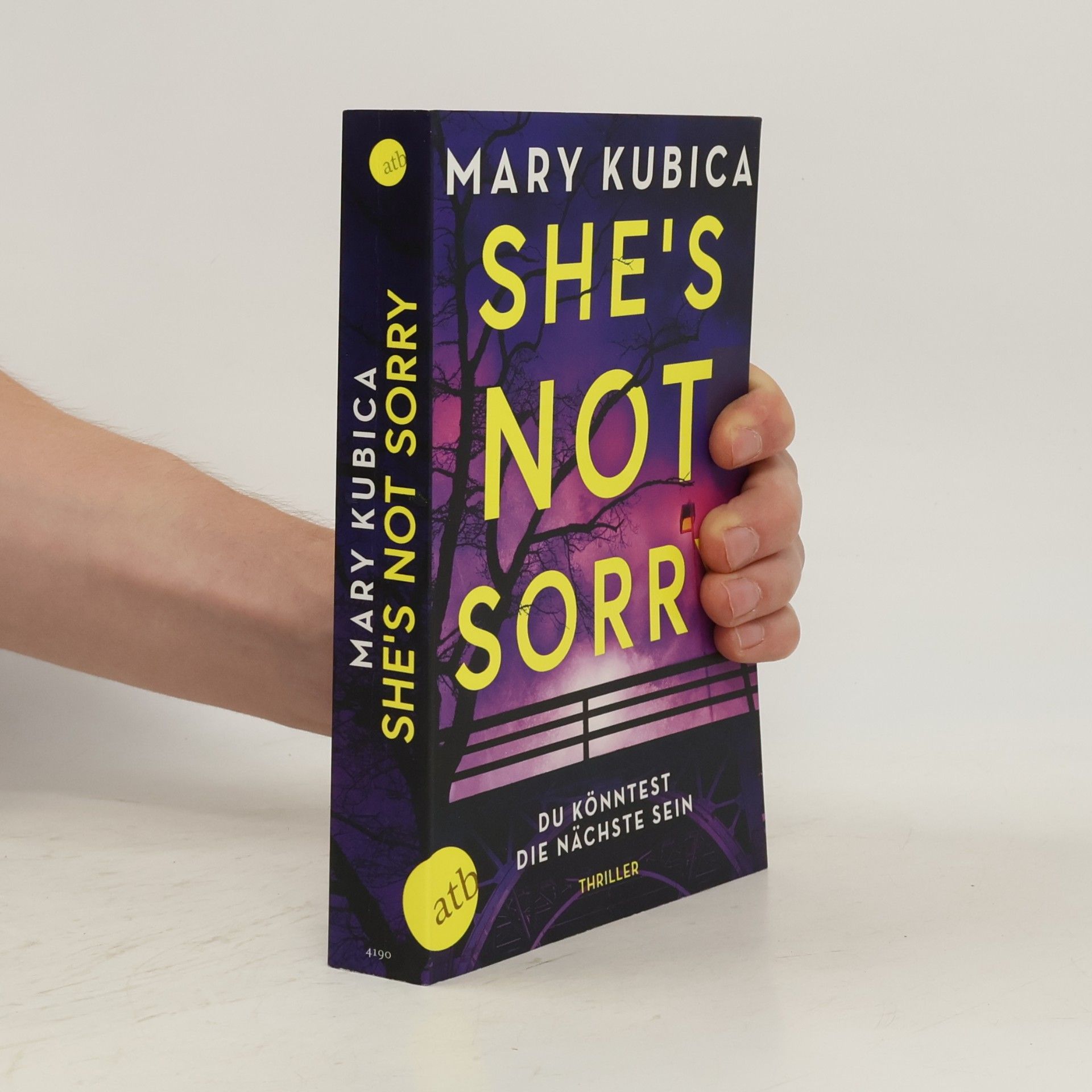Mary Kubica She’s Not Sorry – Du könntest die Nächste sein