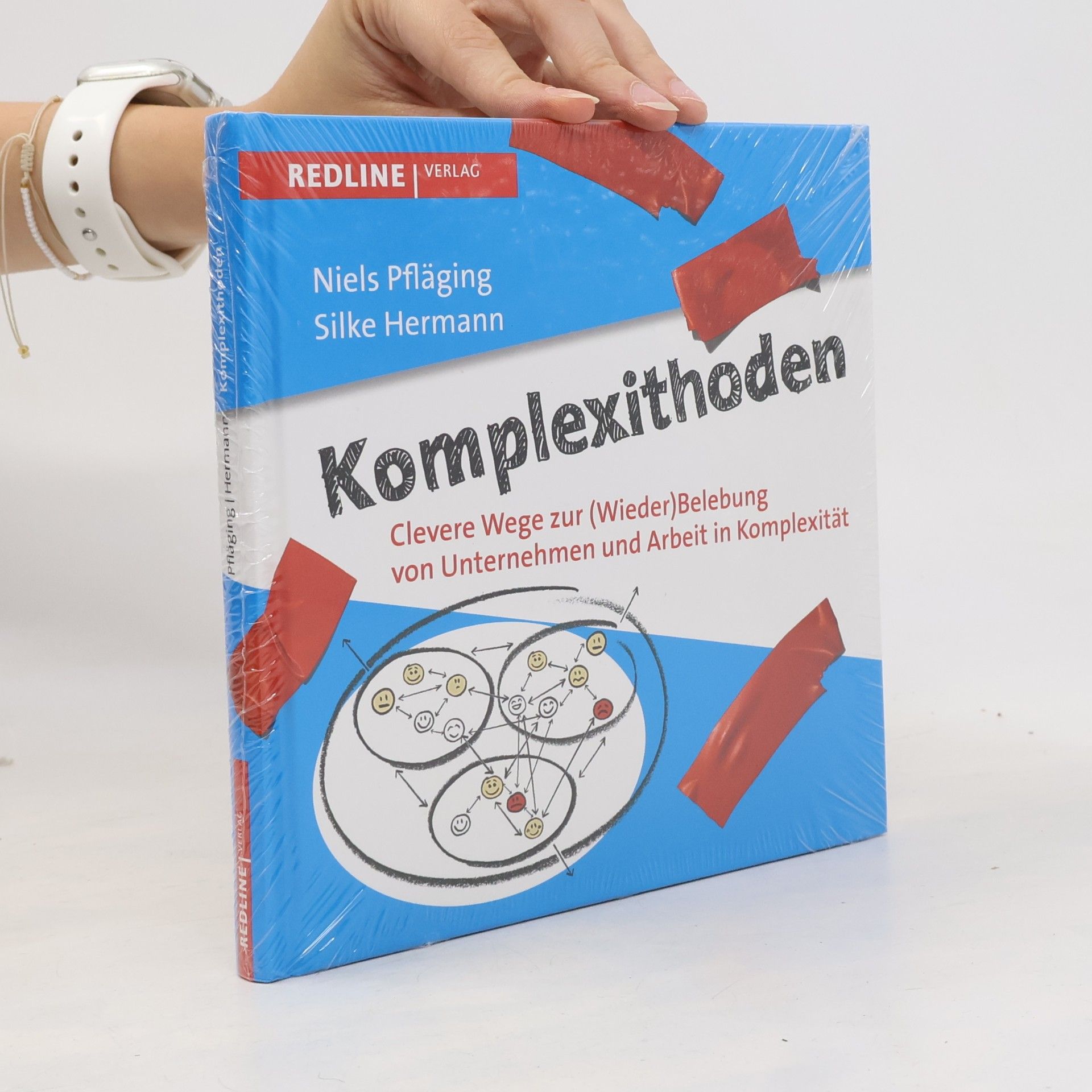 Niels Pfläging Komplexithoden