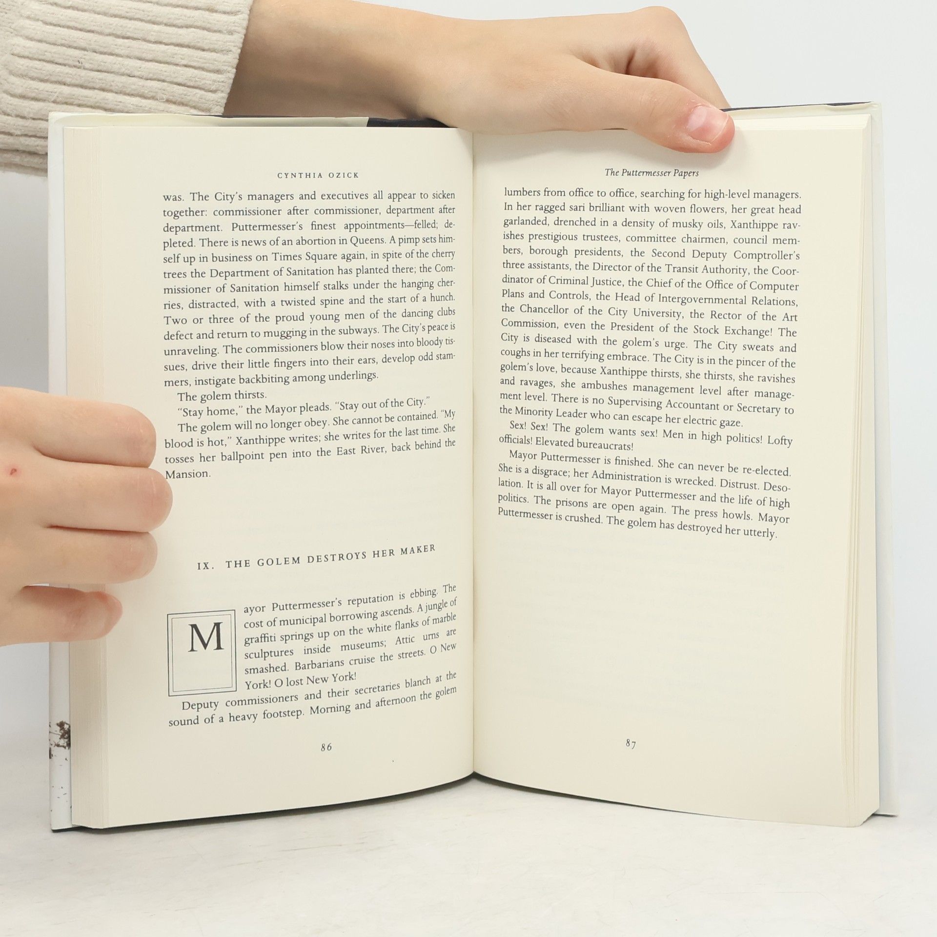Cynthia Ozick The Puttermesser Papers