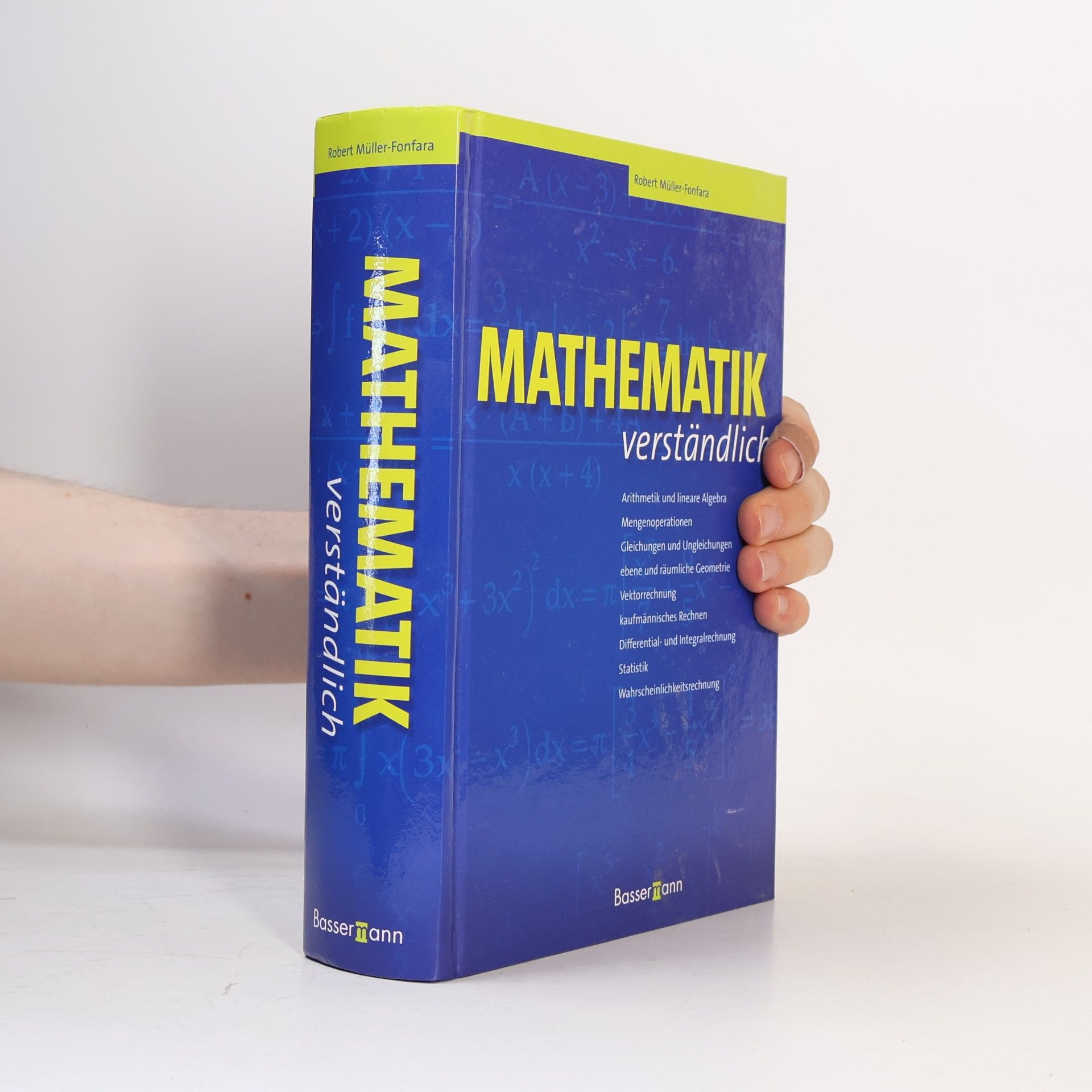 Mathematik verständlich