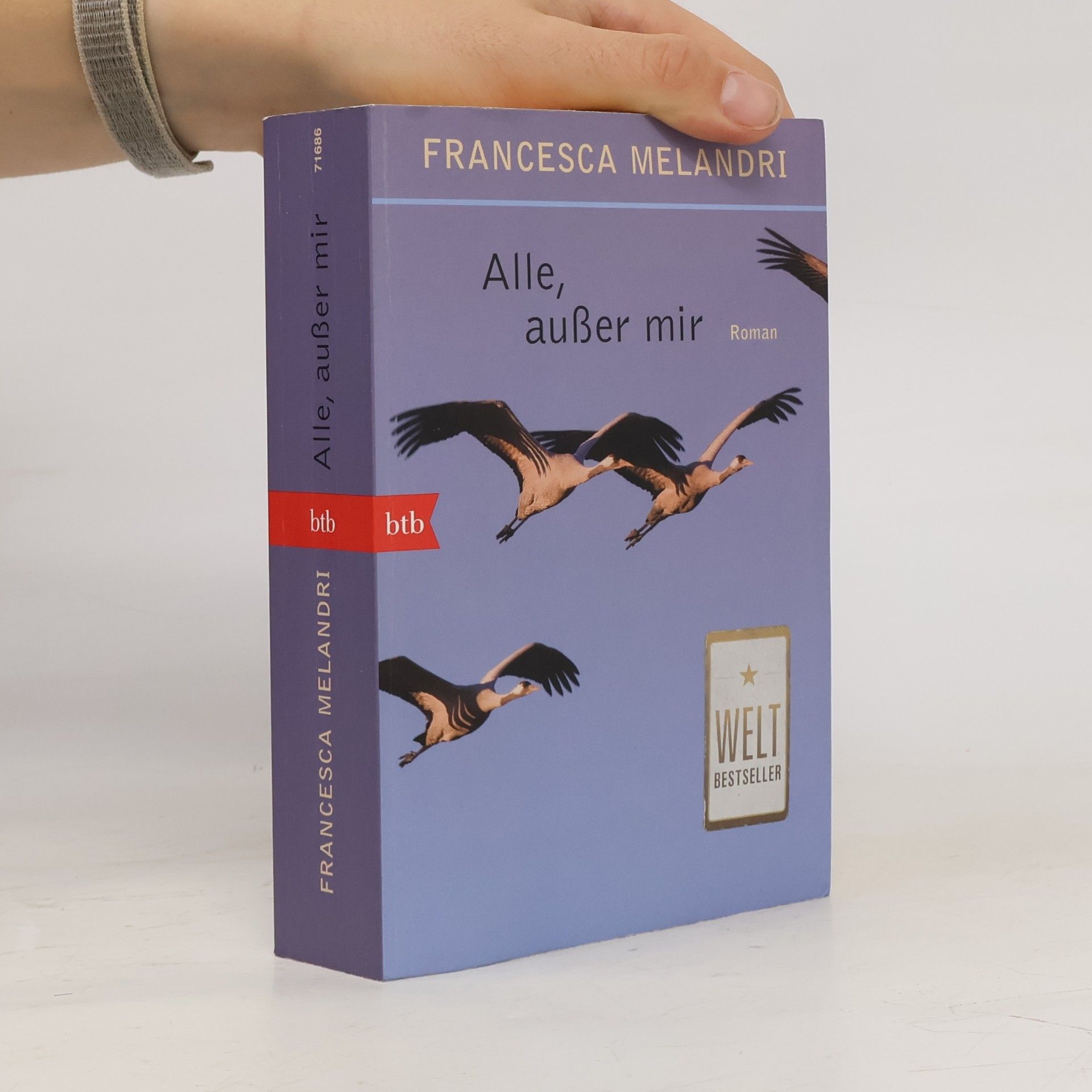 Francesca Melandri Alle, außer mir