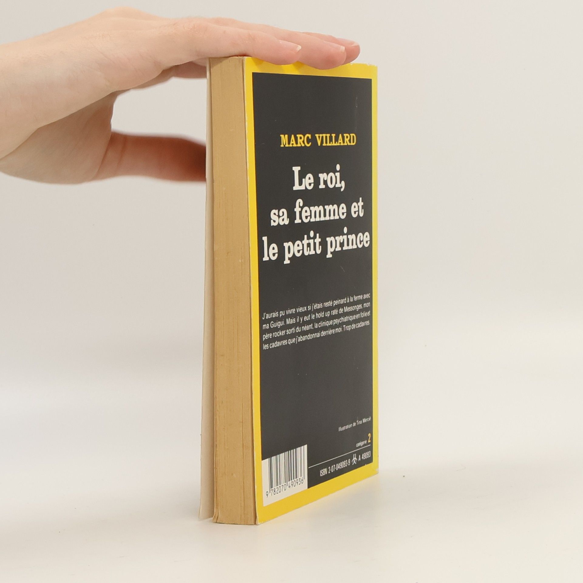 Marc Villard Le roi, sa femme et le petit prince