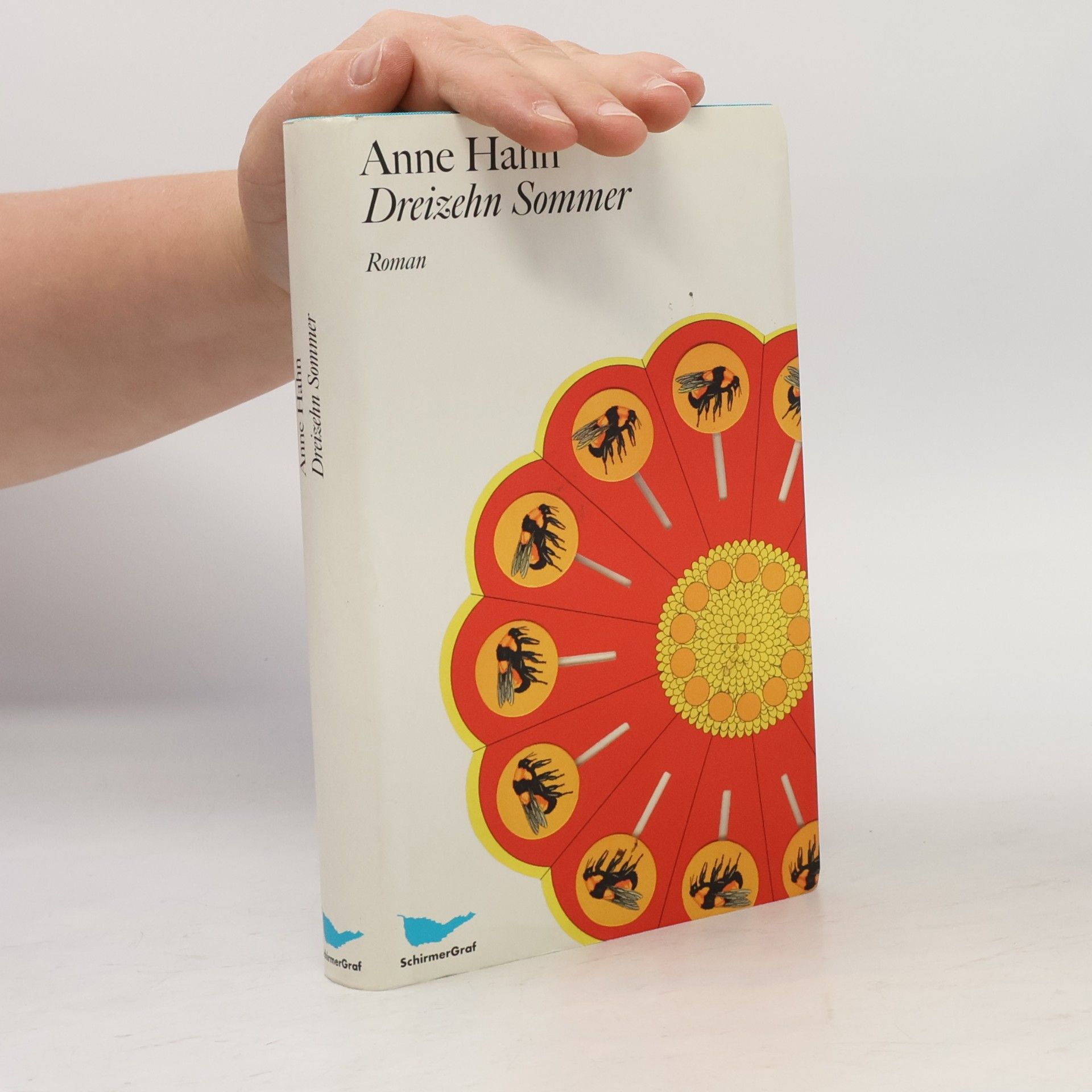Anne Hahn Dreizehn Sommer