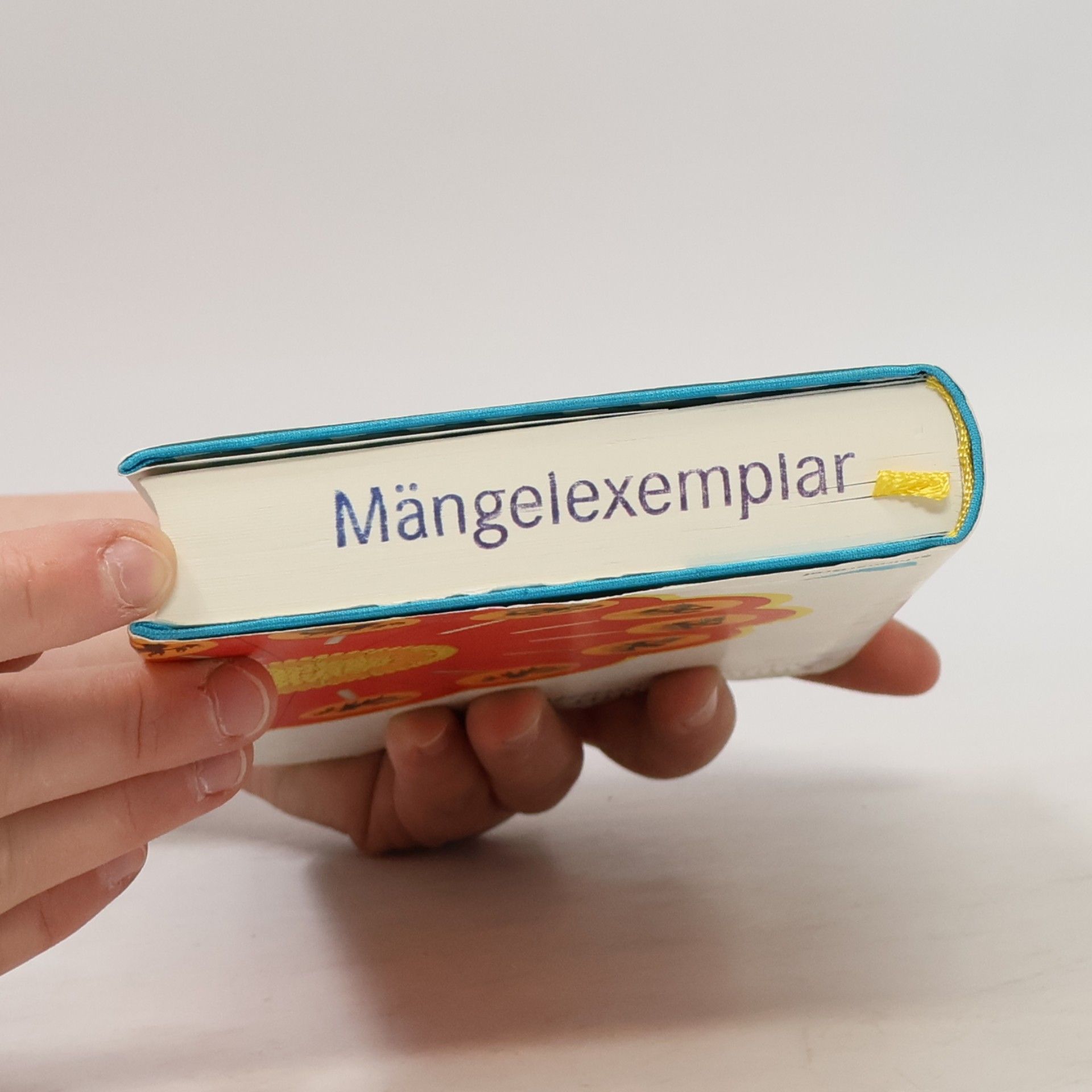 Anne Hahn Dreizehn Sommer