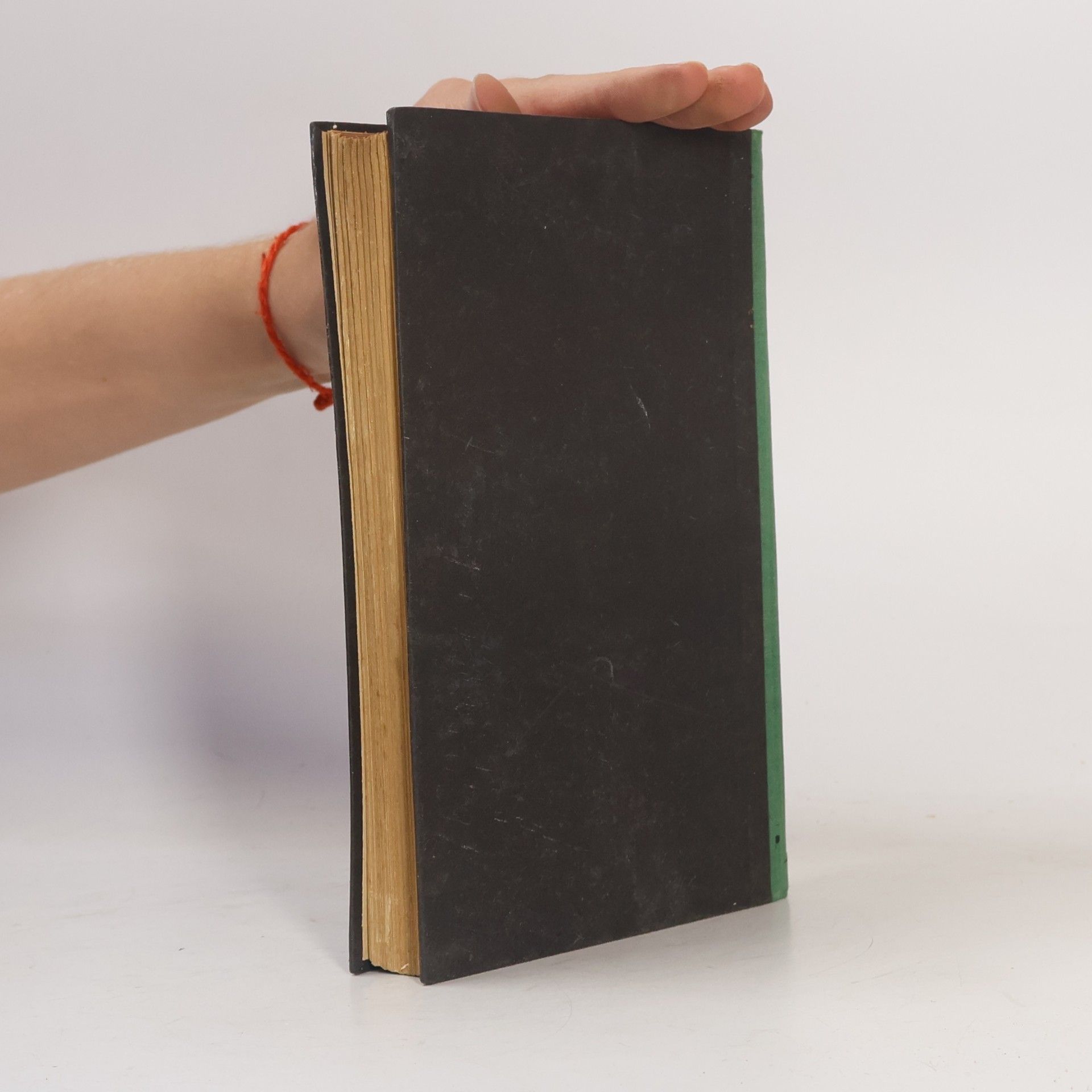Heinrich Heine Buch der Lieder