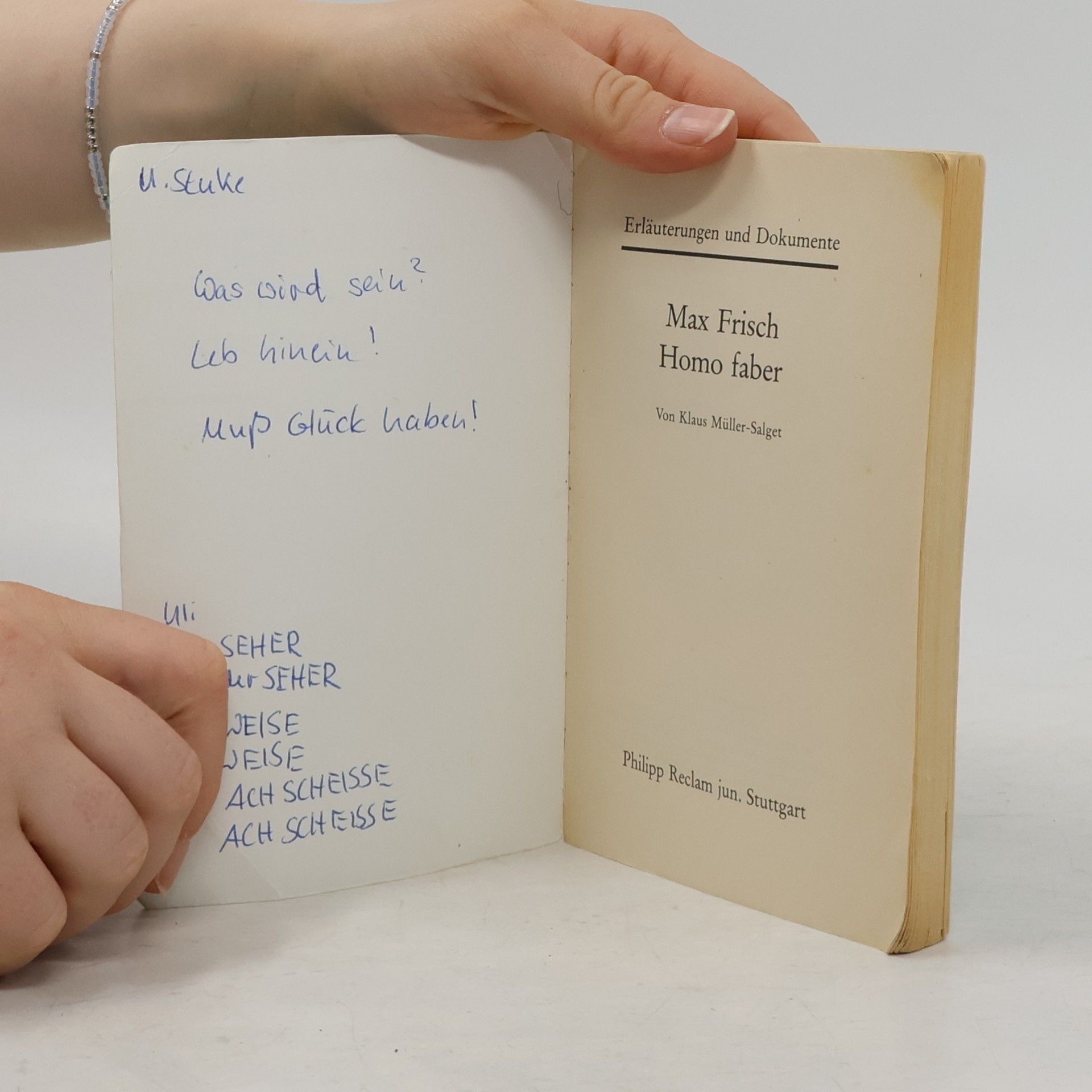 Klaus Müller Max Frisch, Homo faber