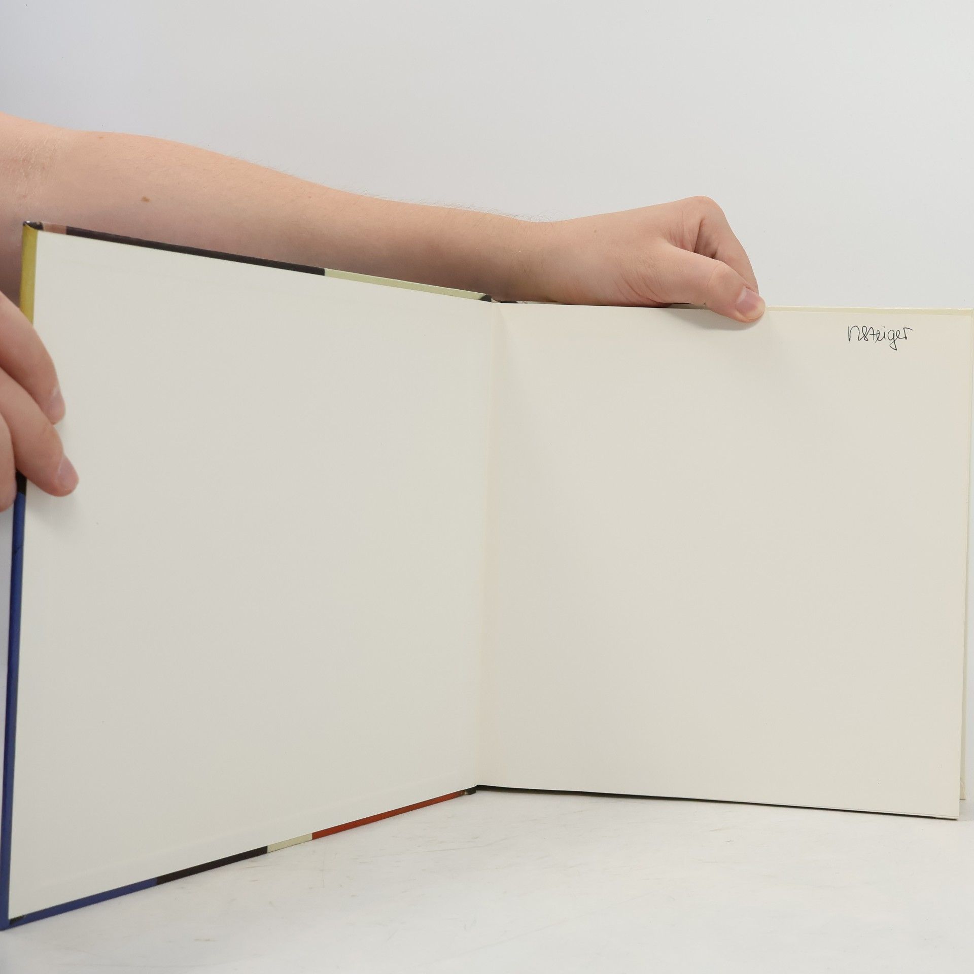 Annemarie Monteil Basler Museen