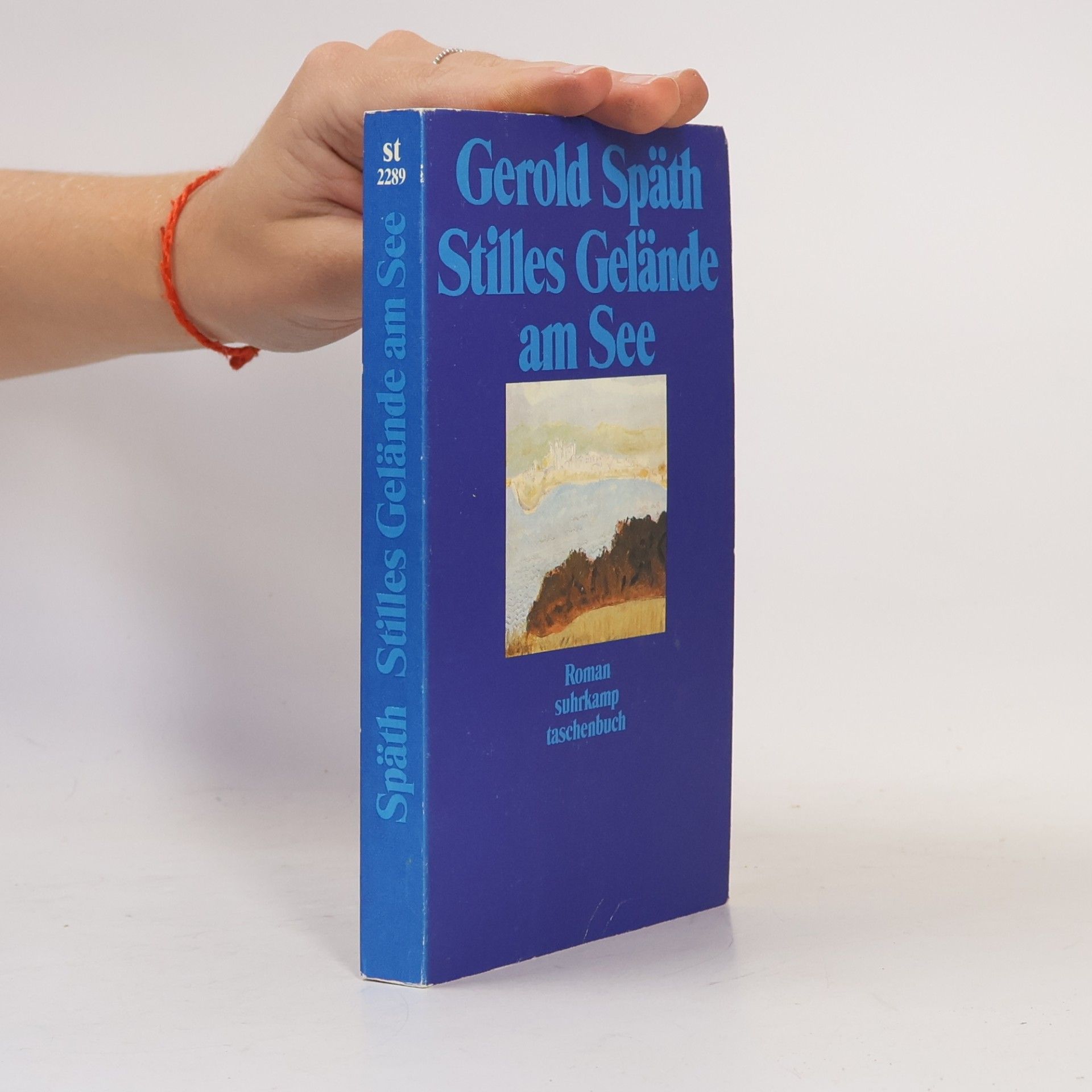 Gerold Späth Stilles Gelände am See
