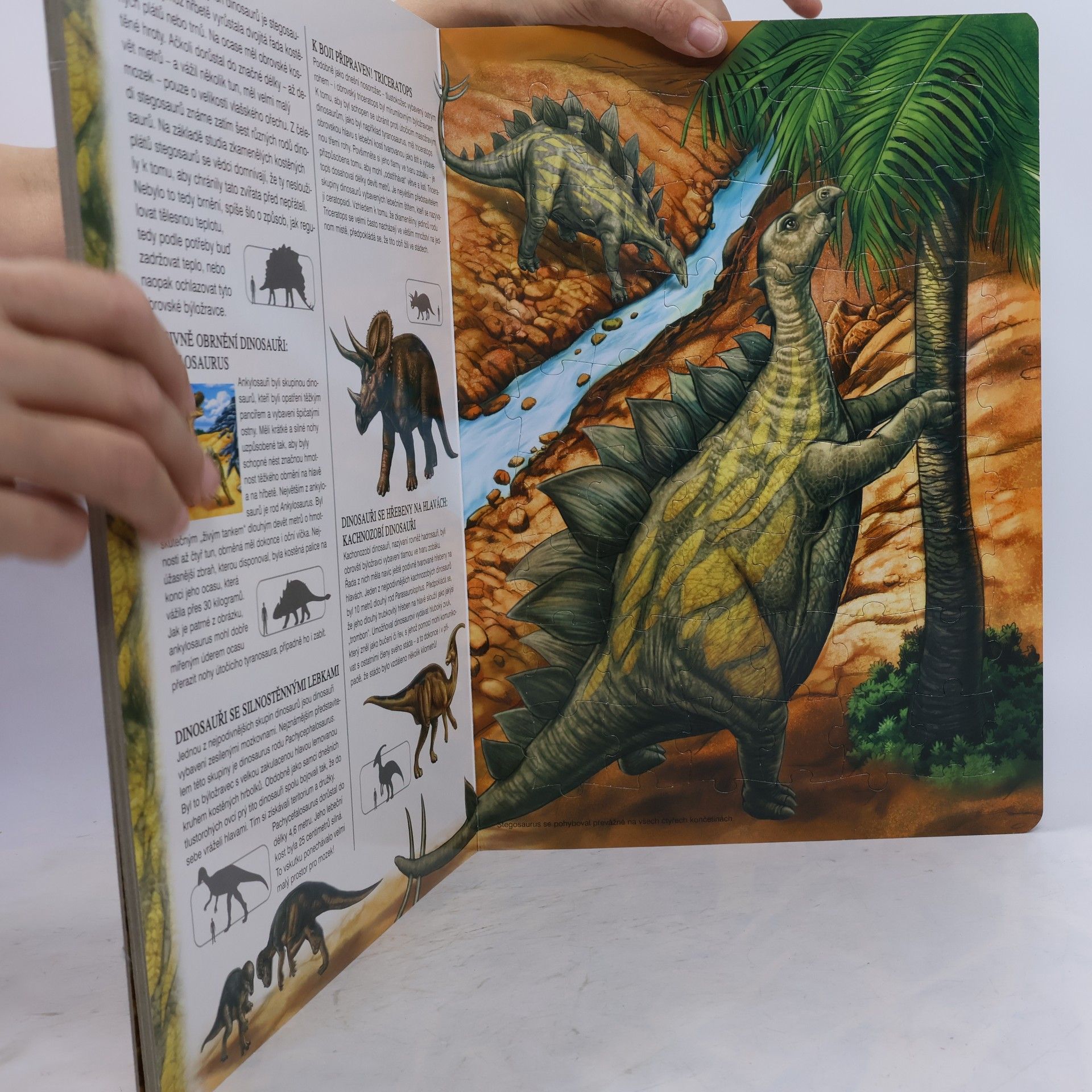 Robert M. Williams Úžasný svět dinosaurů - 5 skládaček