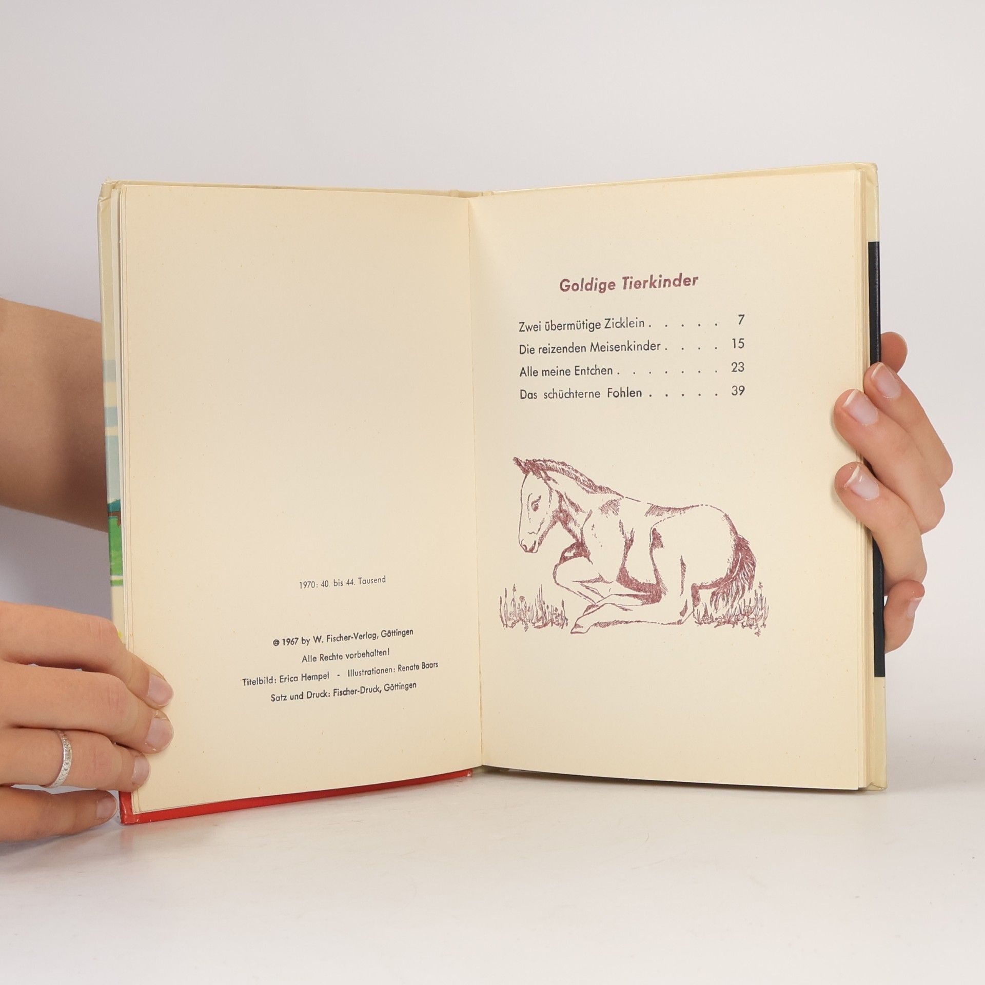 kolektiv Goldige Tierkinder
