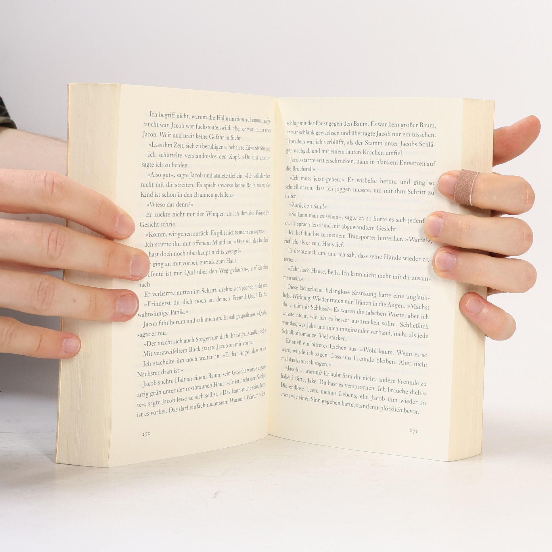 Stephenie Meyer Biss zur Mittagsstunde