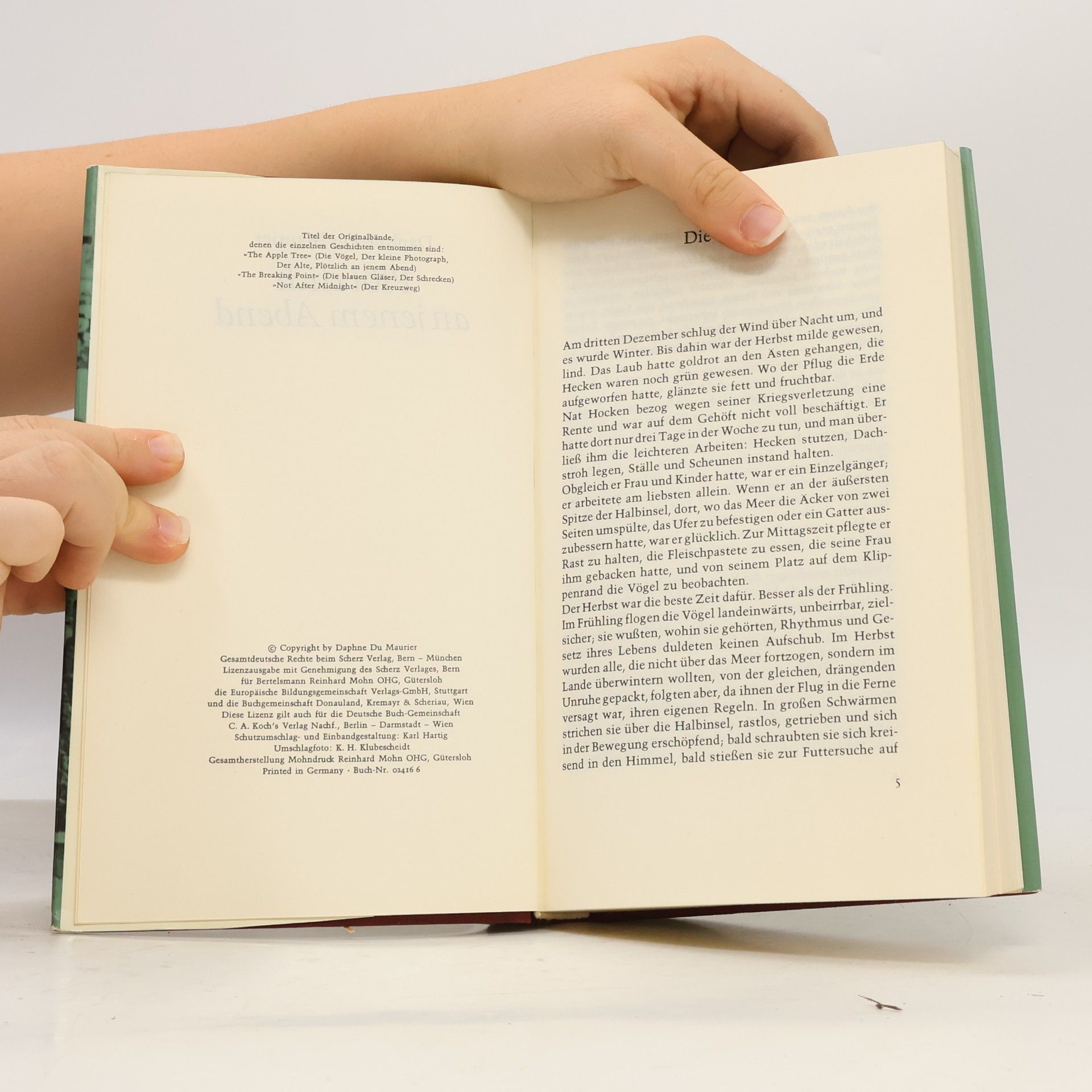 Daphne du Maurier Plötzlich an jenem Abend