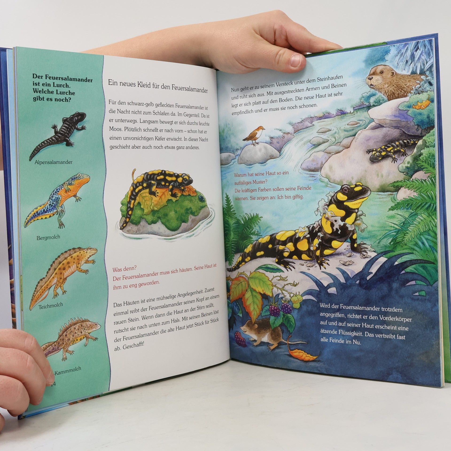 Friederun Reichenstetter Die kleine Eule und die Tiere der Nacht, m. Audio-CD