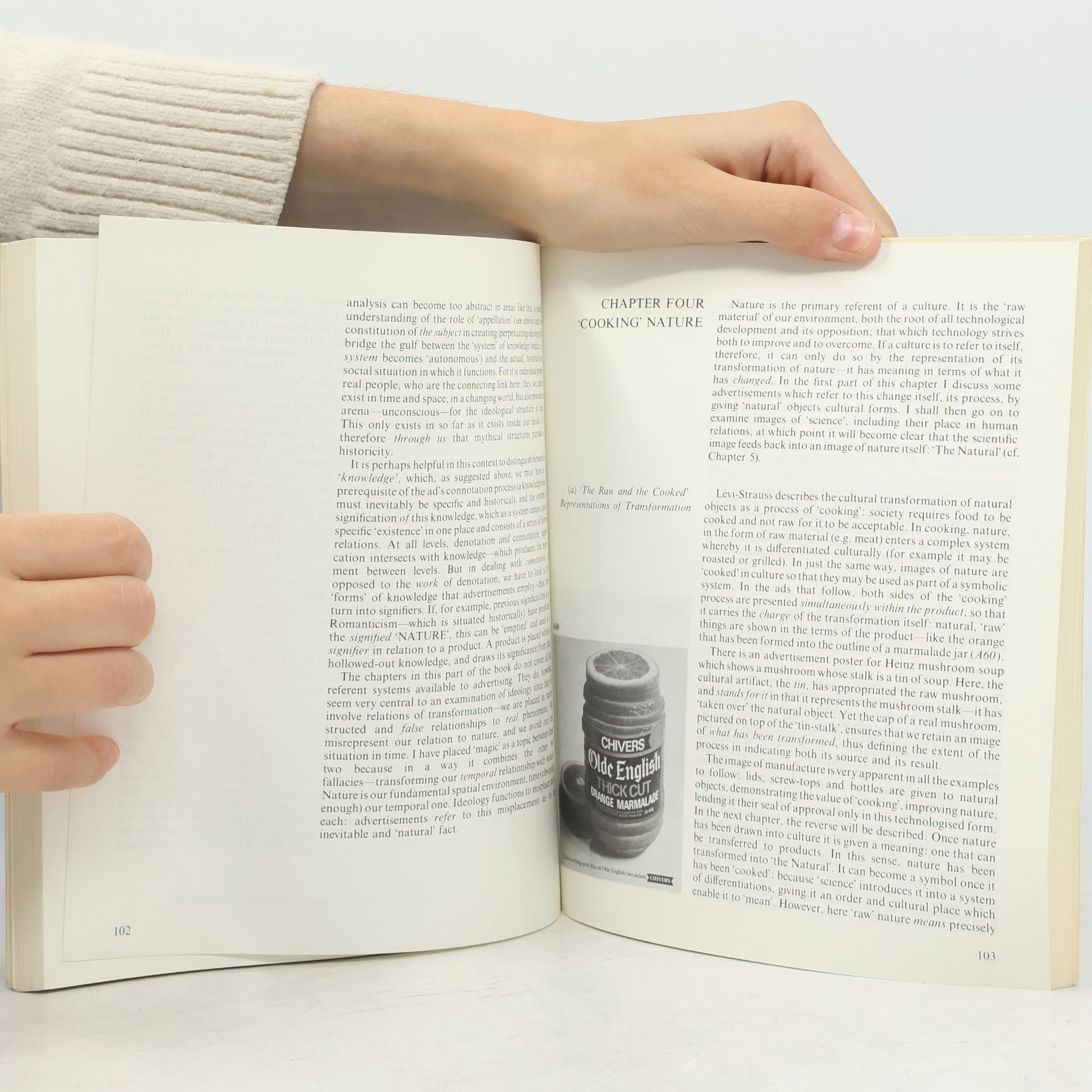 Judith Williamson Decoding Advertisements