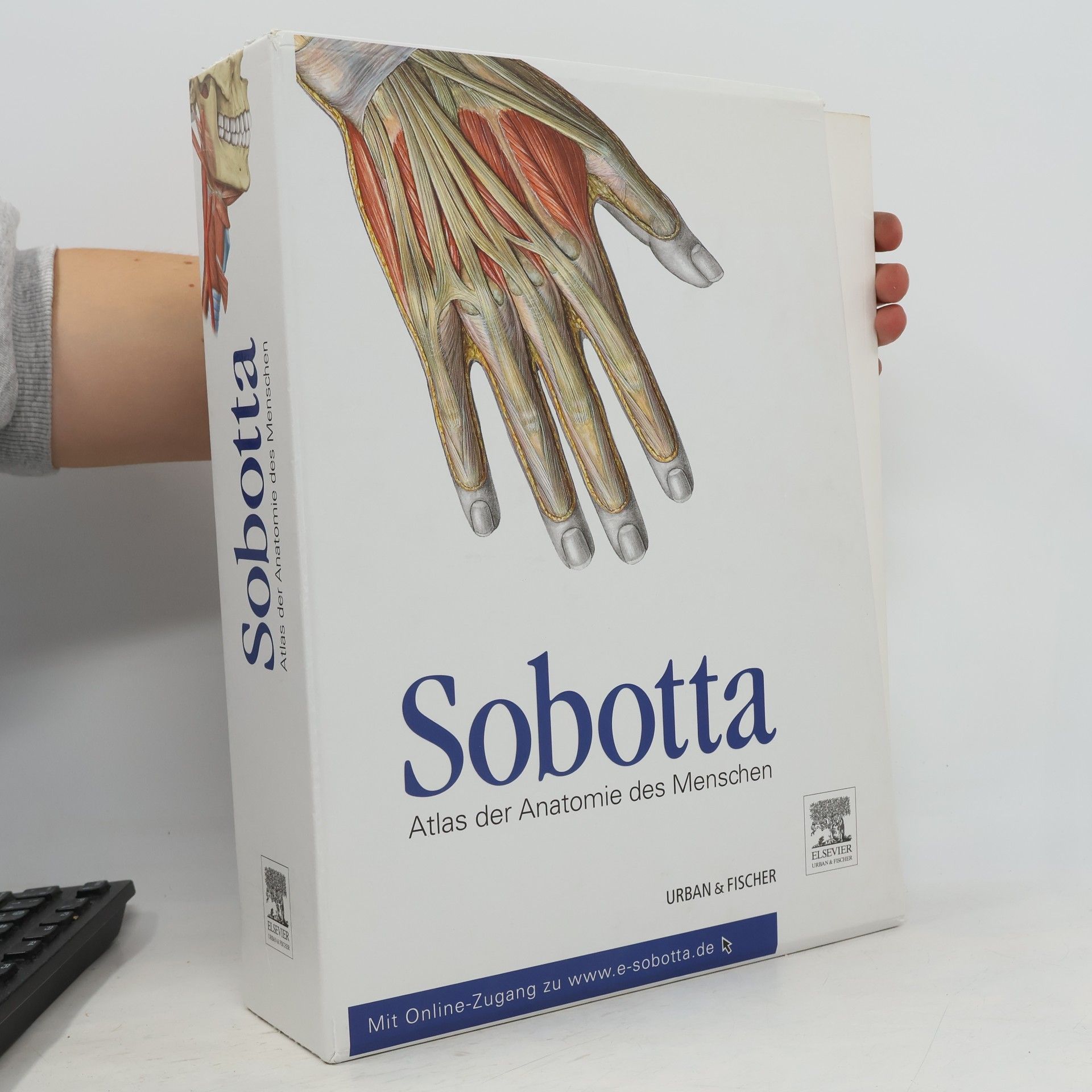 Johannes Sobotta Allgemeine Anatomie und Bewegungsapparat