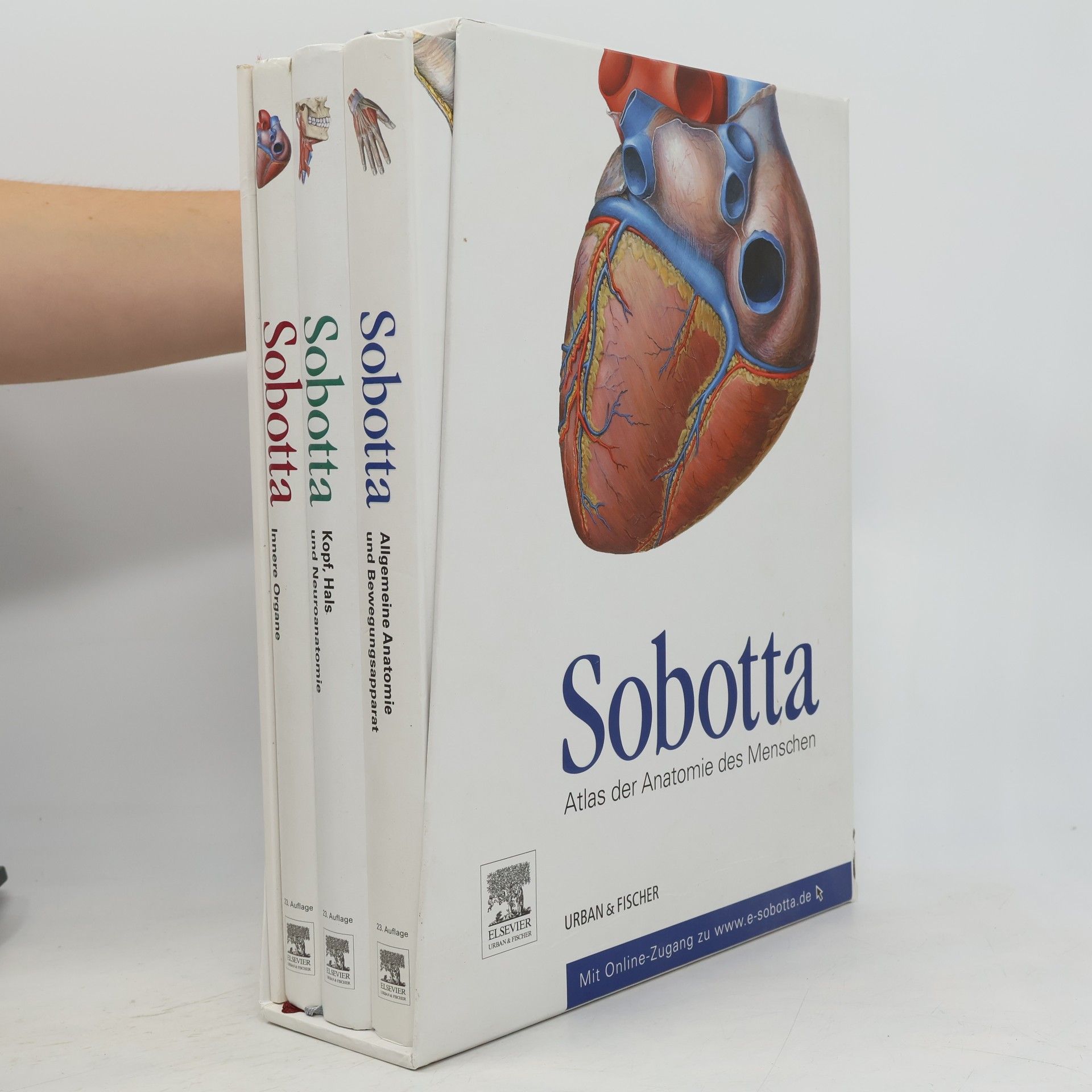 Johannes Sobotta Allgemeine Anatomie und Bewegungsapparat
