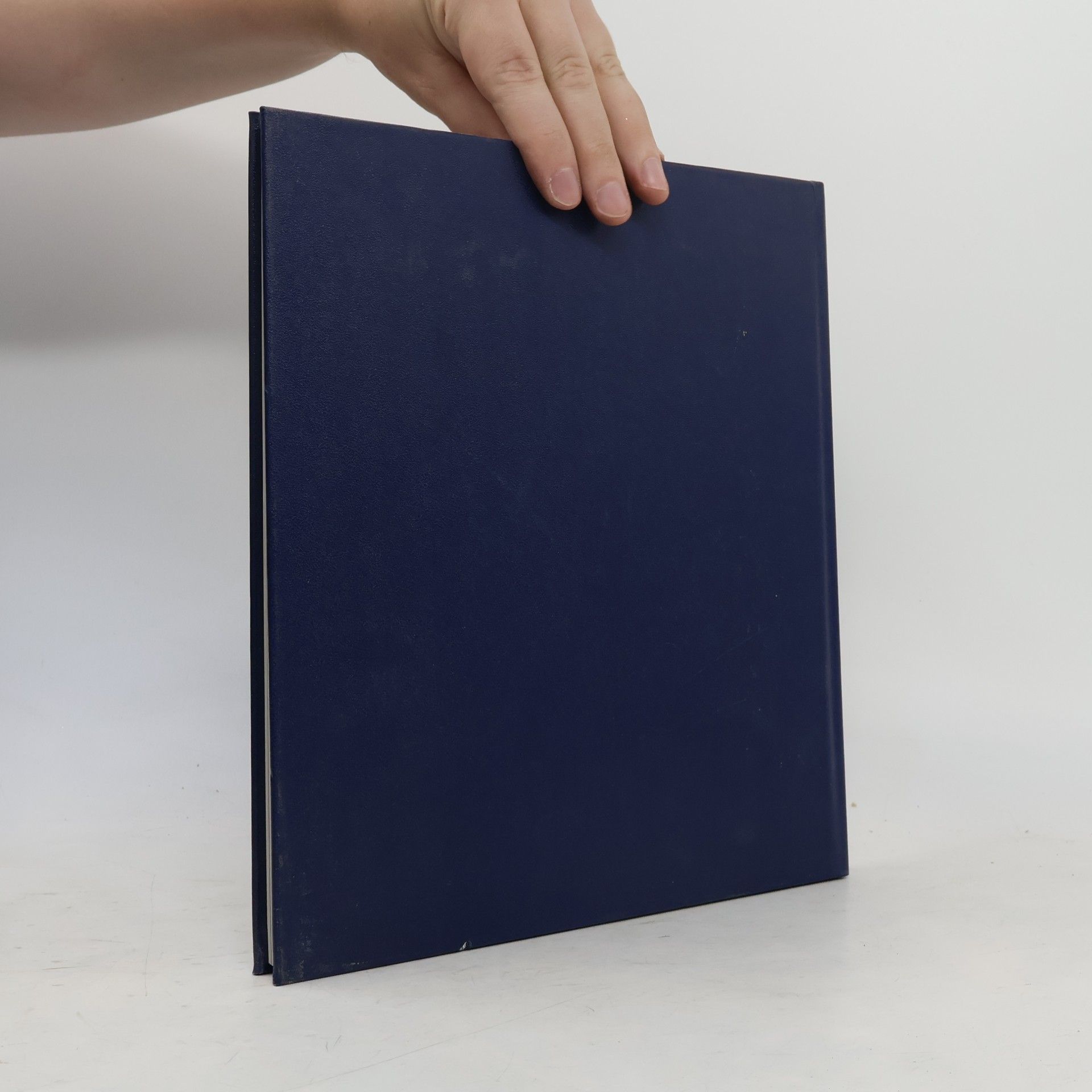 Various authors Burgen der Schweiz