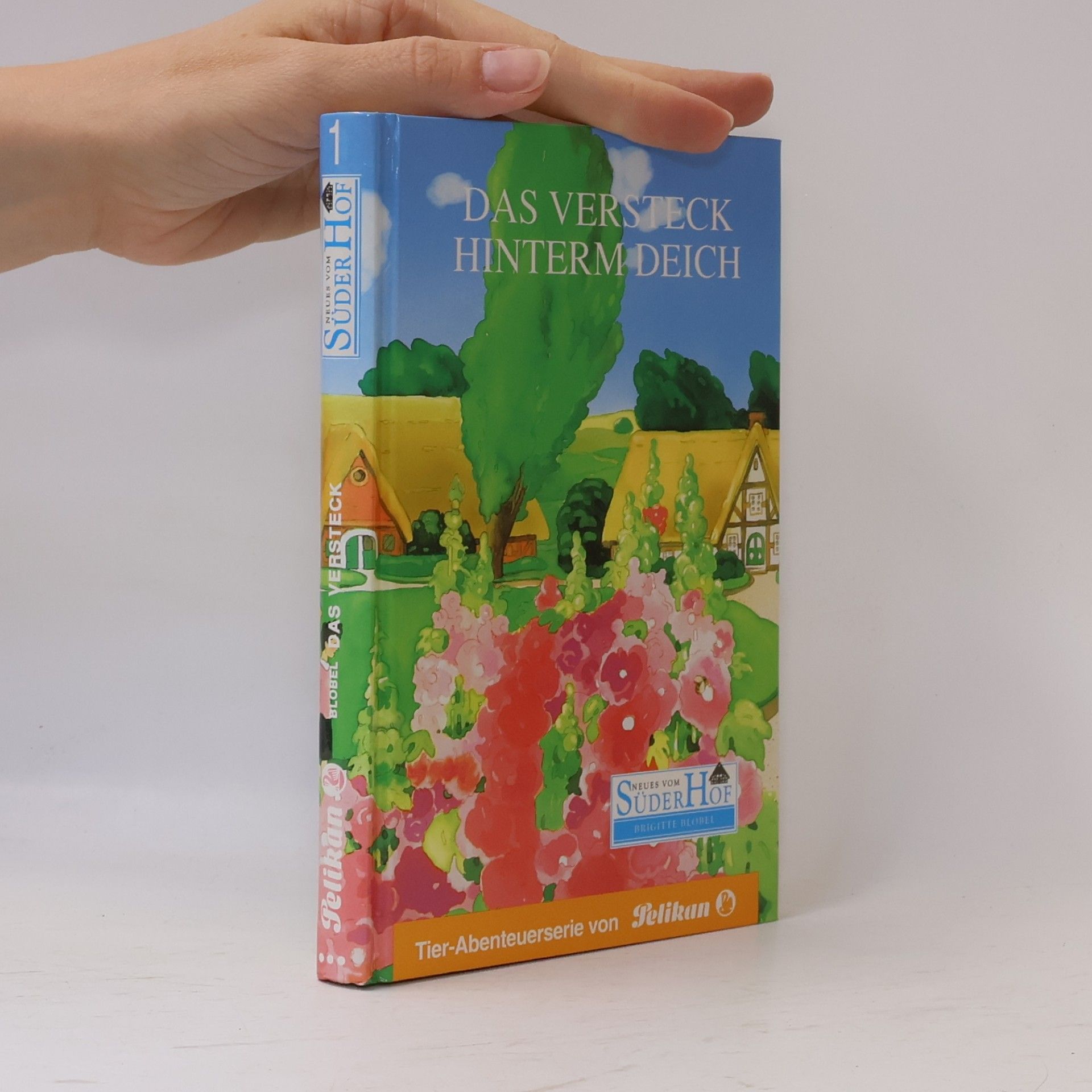 Autorenkollektiv Das Versteck Hinterm Deich