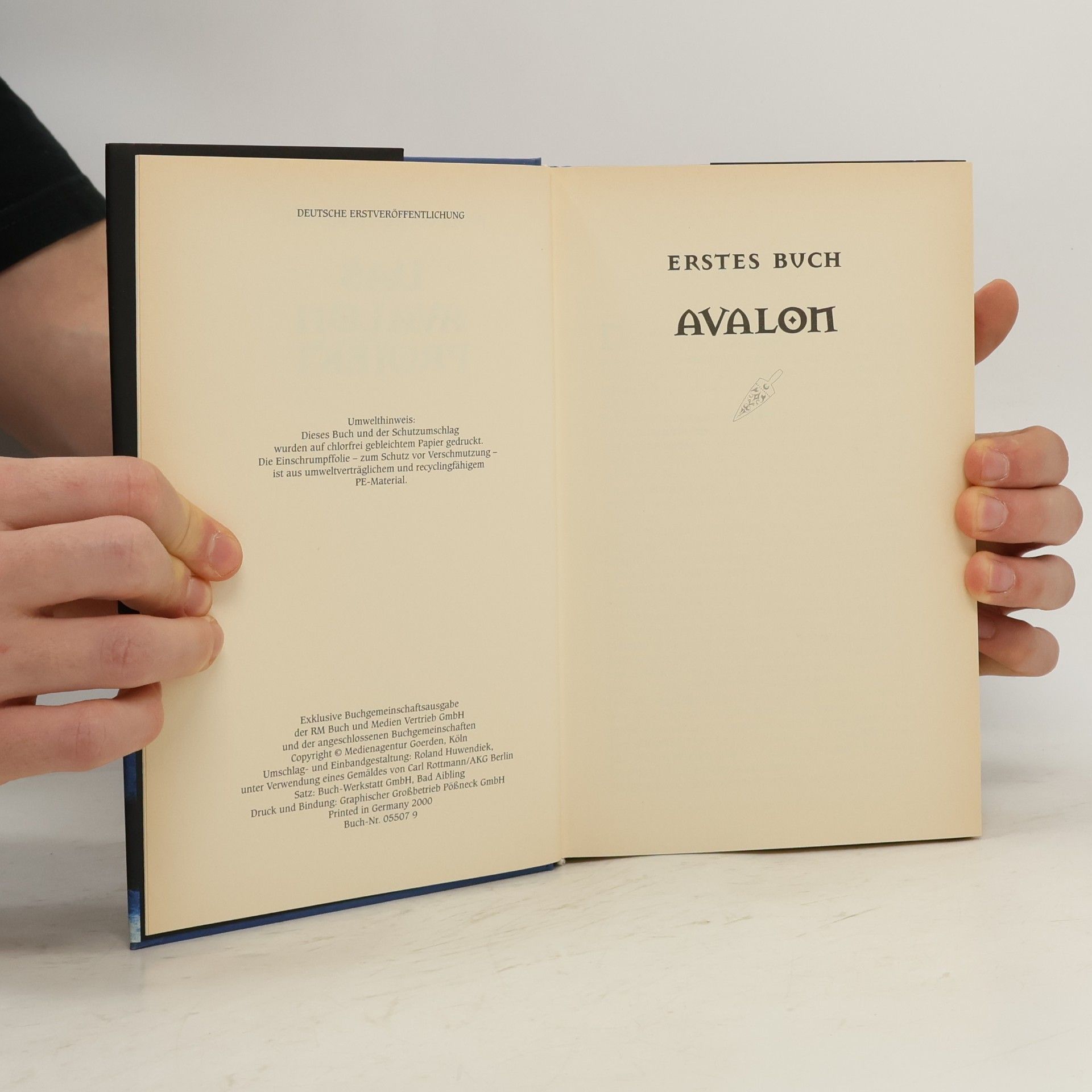 Wolfgang Hohlbein Das Avalon Projekt
