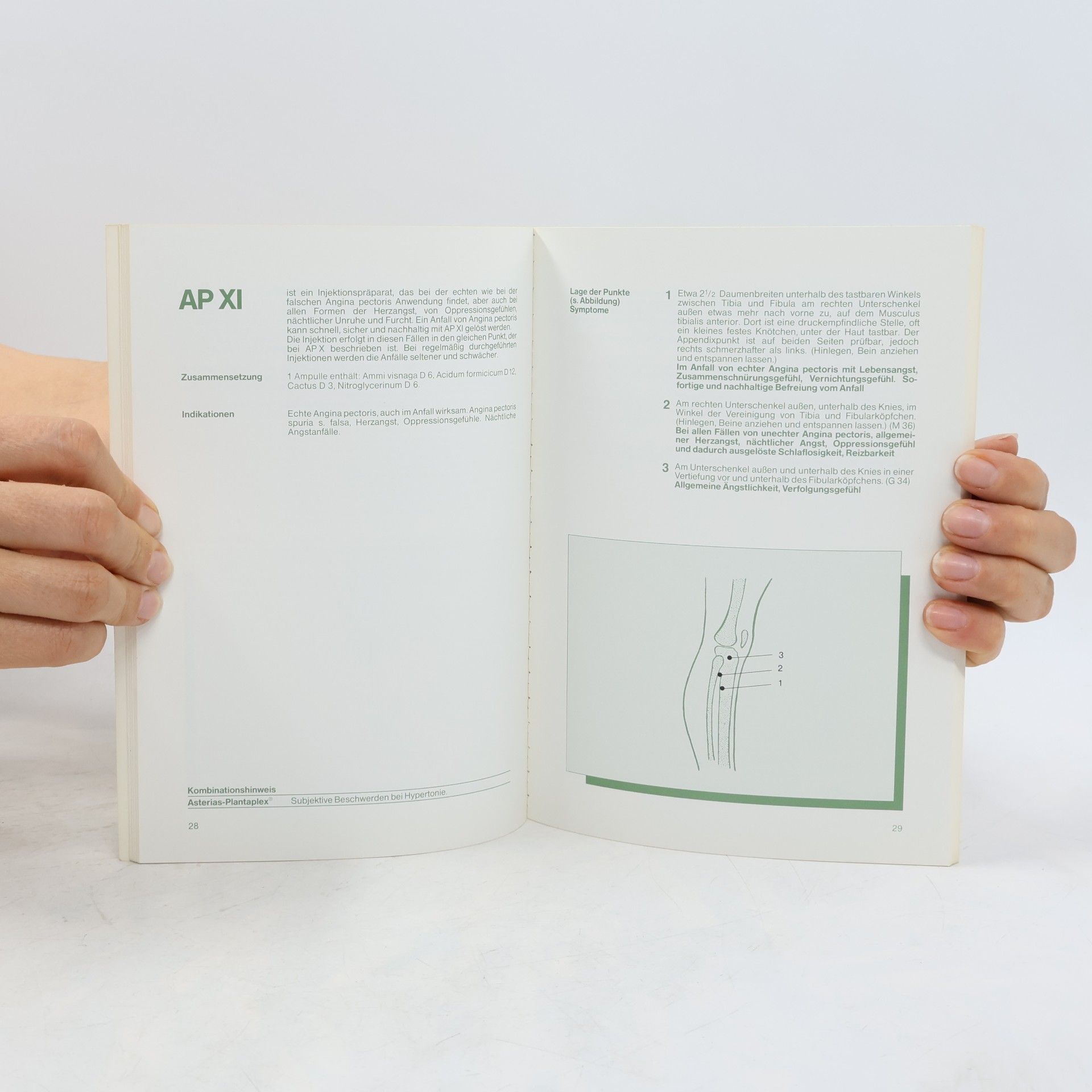 kolektiv Das Verbund System