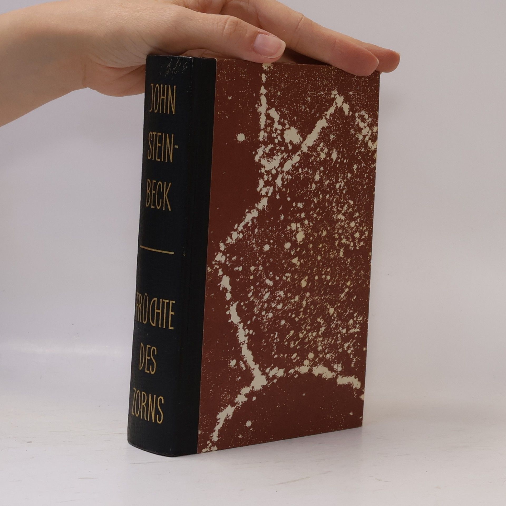John Steinbeck Früchte des Zorns