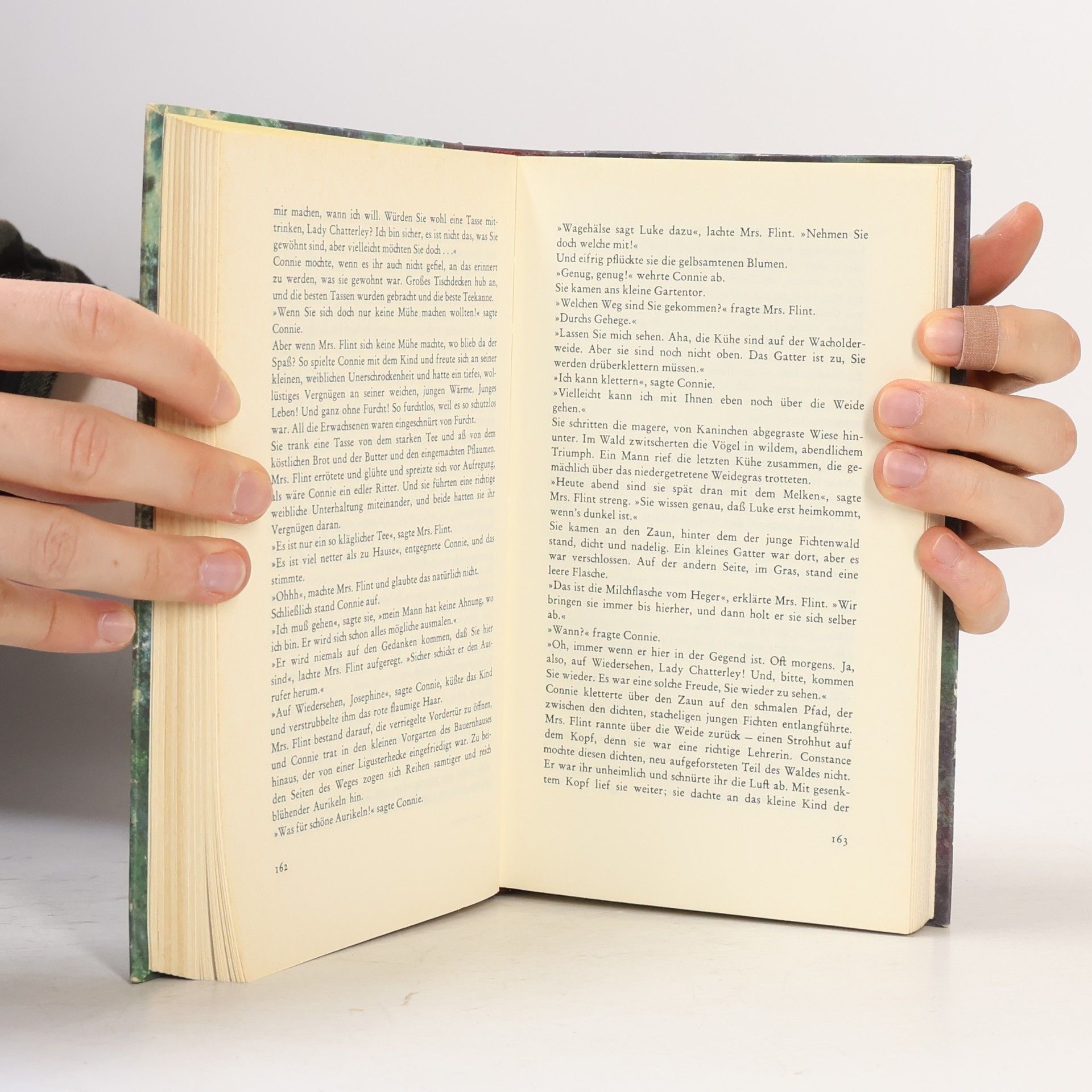 D. H. Lawrence Lady Chatterley