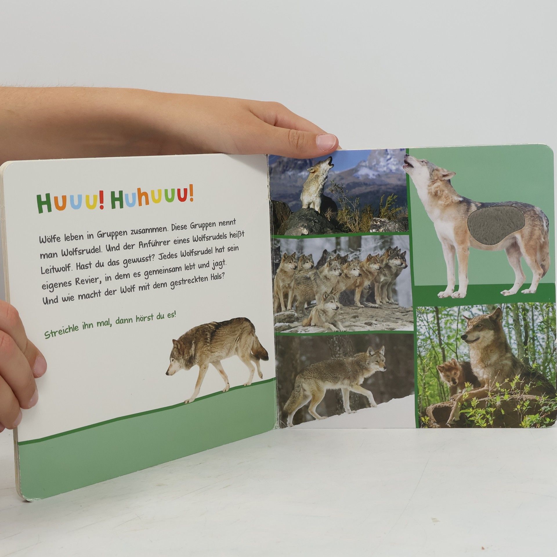 Hör mal rein, wer kann das sein? - Wilde Tiere