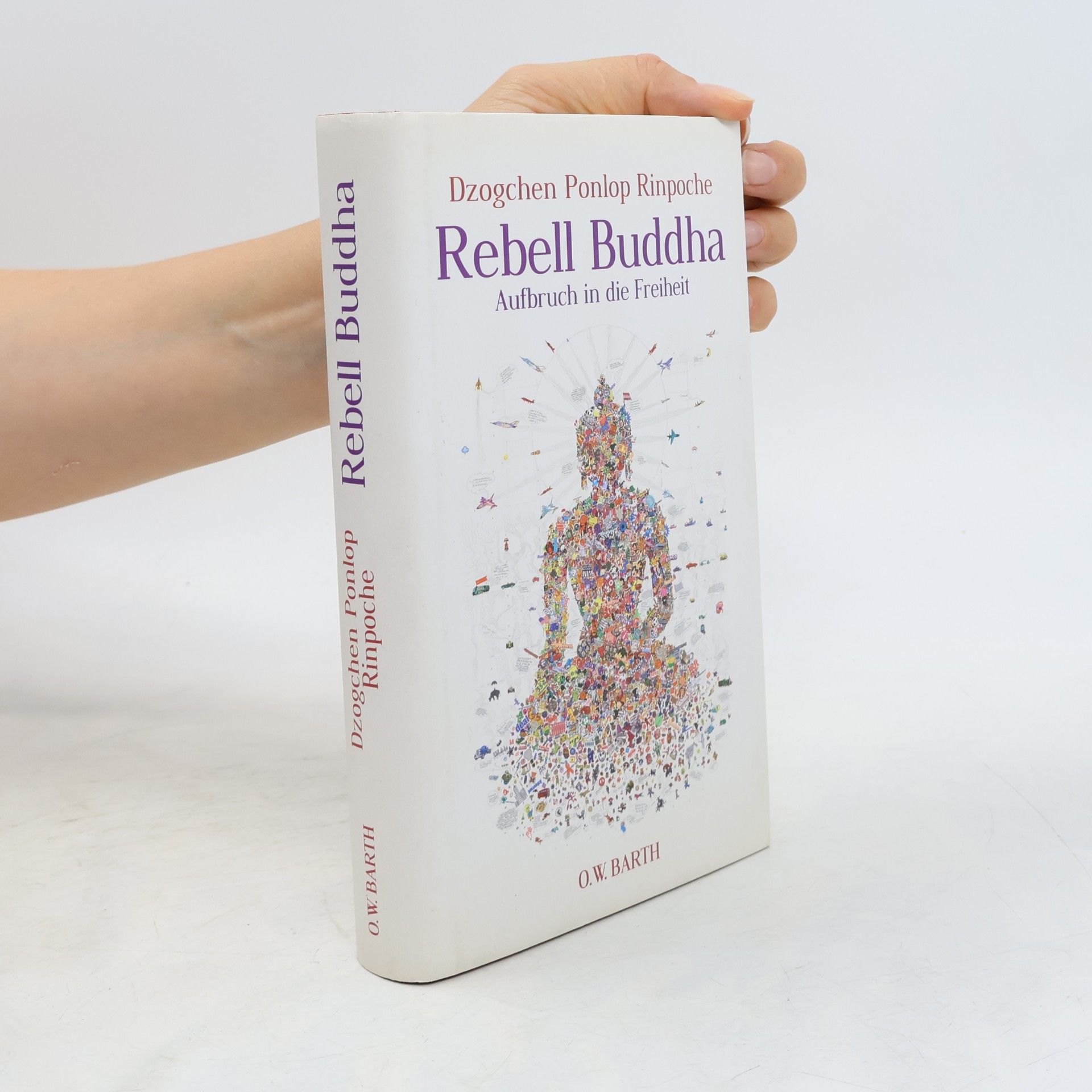 Dzogchen Ponlop Rinpoche Rebell Buddha