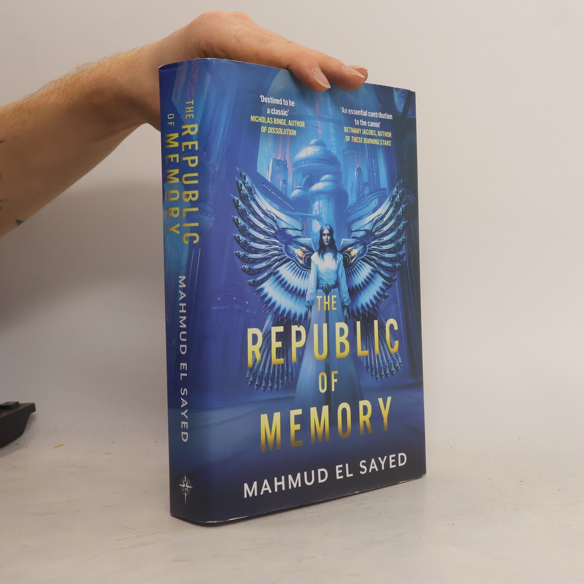 Mahmud El Sayed The Republic of Memory