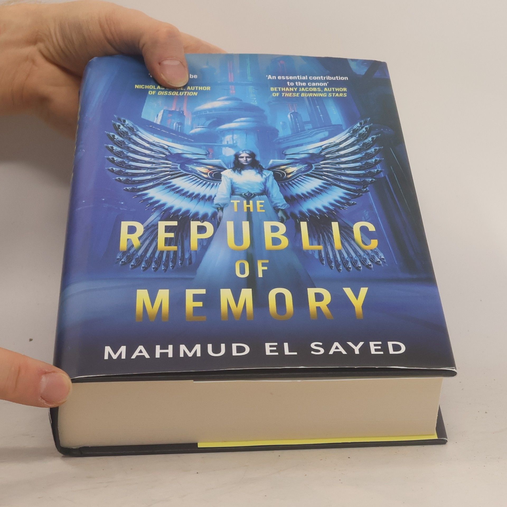 Mahmud El Sayed The Republic of Memory