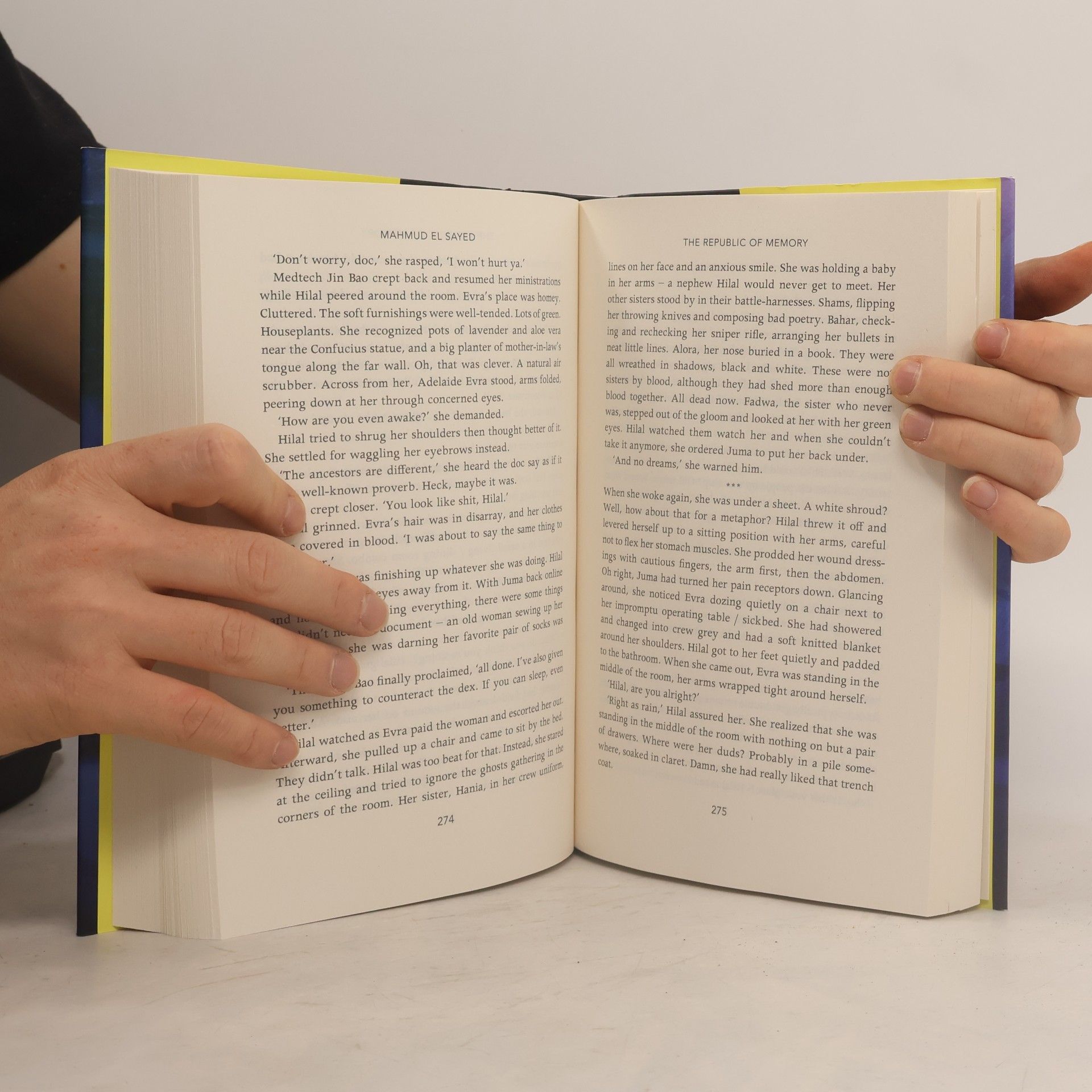 Mahmud El Sayed The Republic of Memory